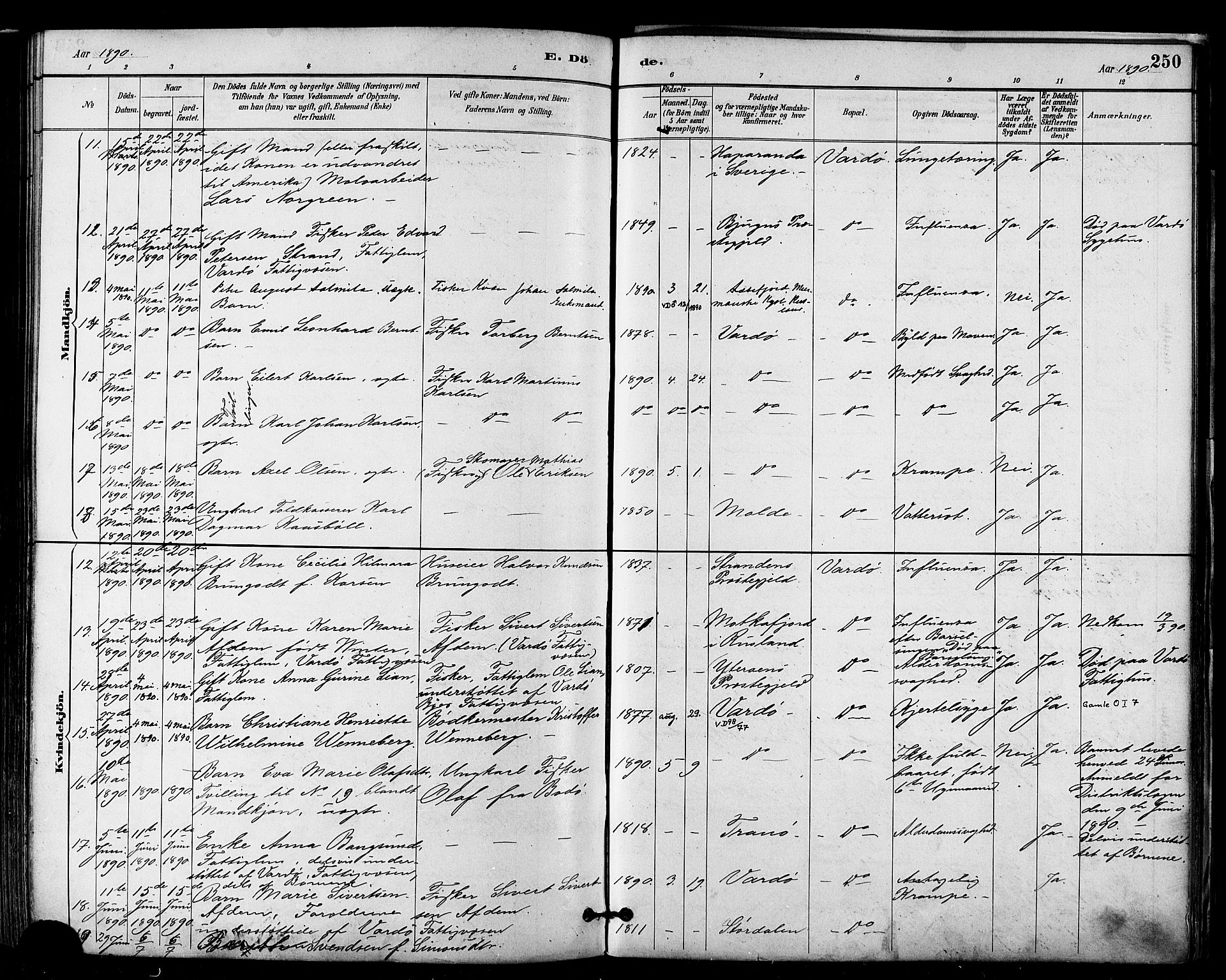 Vardø sokneprestkontor, AV/SATØ-S-1332/H/Ha/L0007kirke: Parish register (official) no. 7, 1886-1897, p. 250