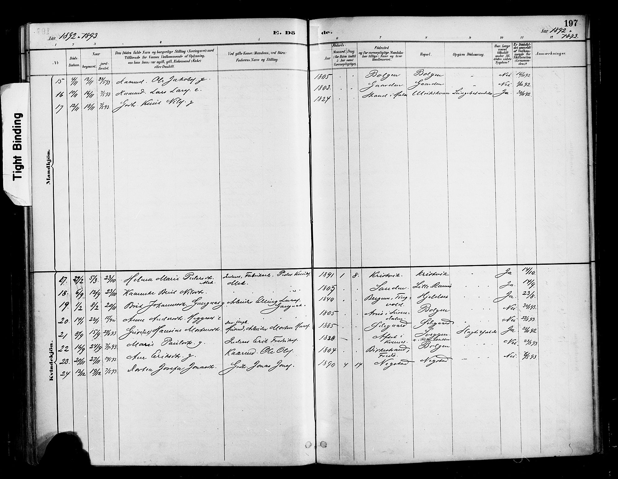 Ministerialprotokoller, klokkerbøker og fødselsregistre - Møre og Romsdal, AV/SAT-A-1454/569/L0819: Parish register (official) no. 569A05, 1885-1899, p. 197