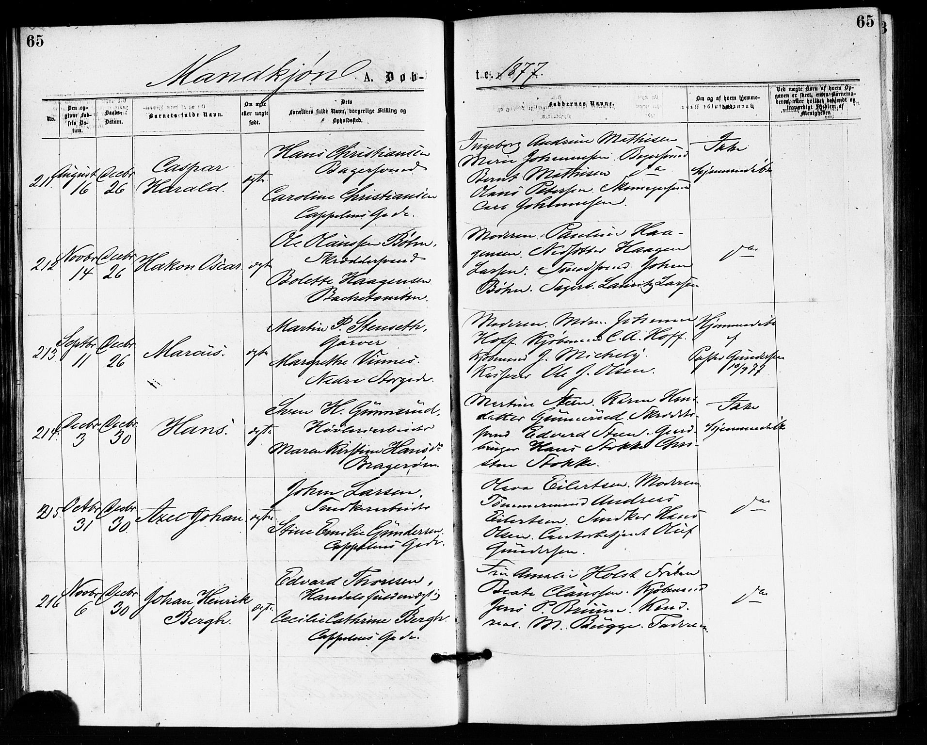 Bragernes kirkebøker, AV/SAKO-A-6/F/Fb/L0005: Parish register (official) no. II 5, 1875-1877, p. 65