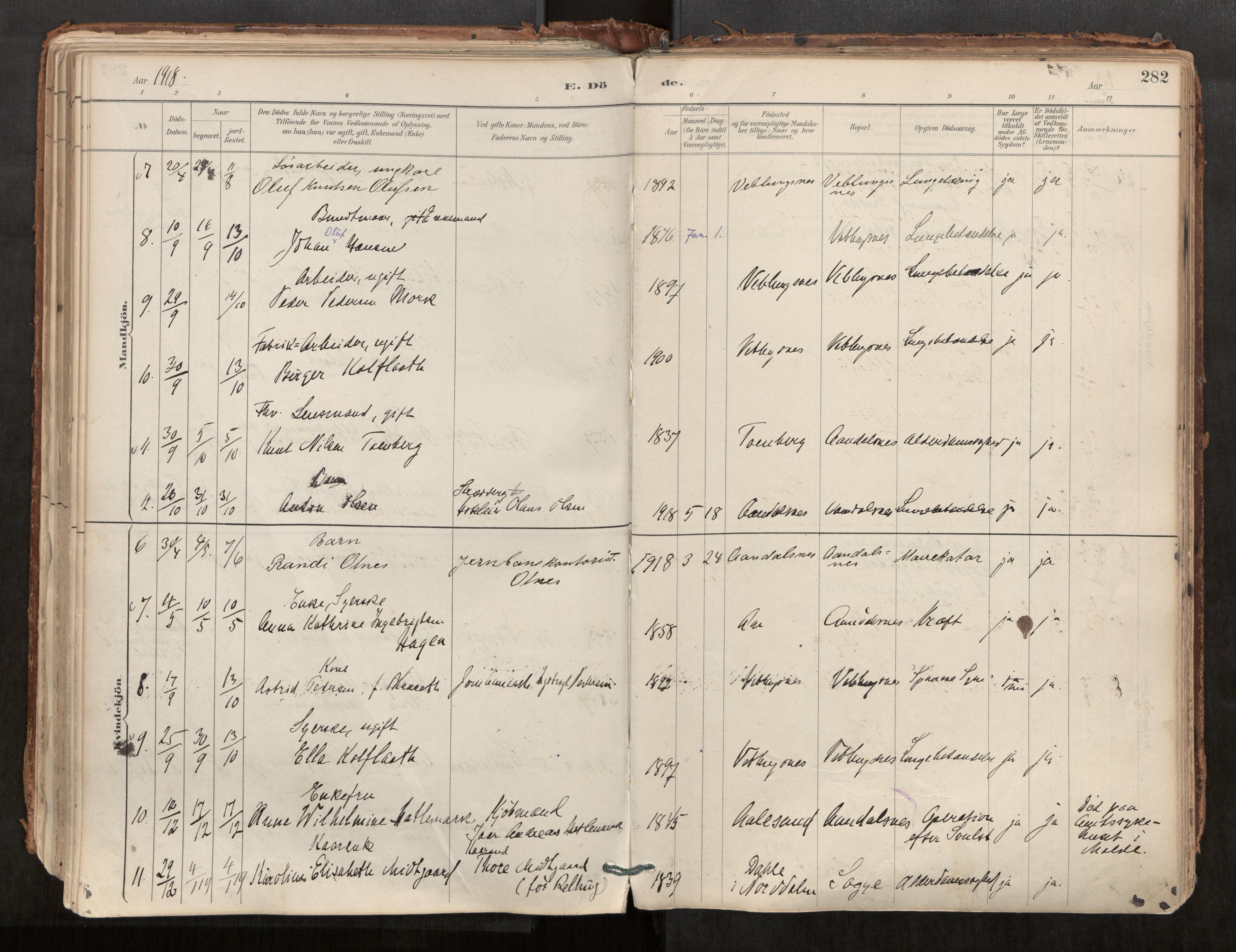 Ministerialprotokoller, klokkerbøker og fødselsregistre - Møre og Romsdal, AV/SAT-A-1454/544/L0585: Parish register (official) no. 544A06, 1887-1924, p. 282