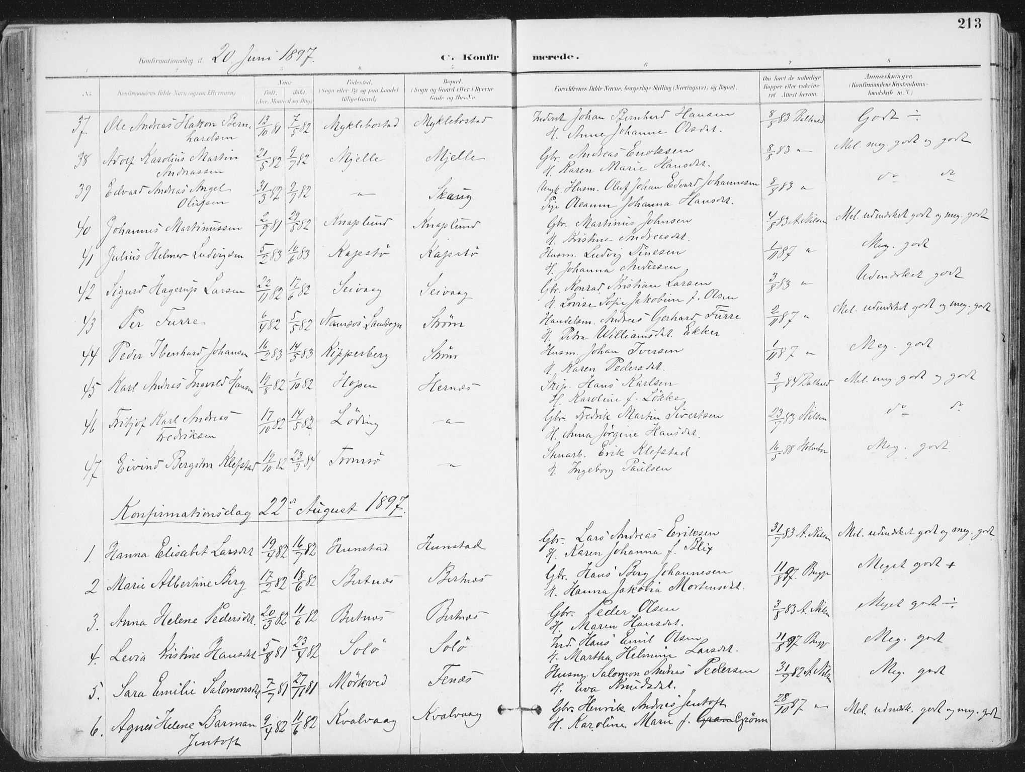 Ministerialprotokoller, klokkerbøker og fødselsregistre - Nordland, AV/SAT-A-1459/802/L0055: Parish register (official) no. 802A02, 1894-1915, p. 213