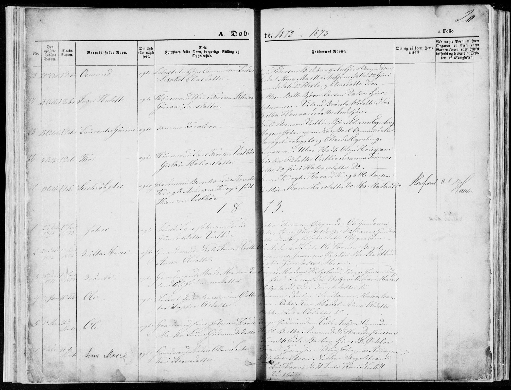 Vikedal sokneprestkontor, SAST/A-101840/01/V: Parish register (copy) no. B 10, 1864-1926, p. 20