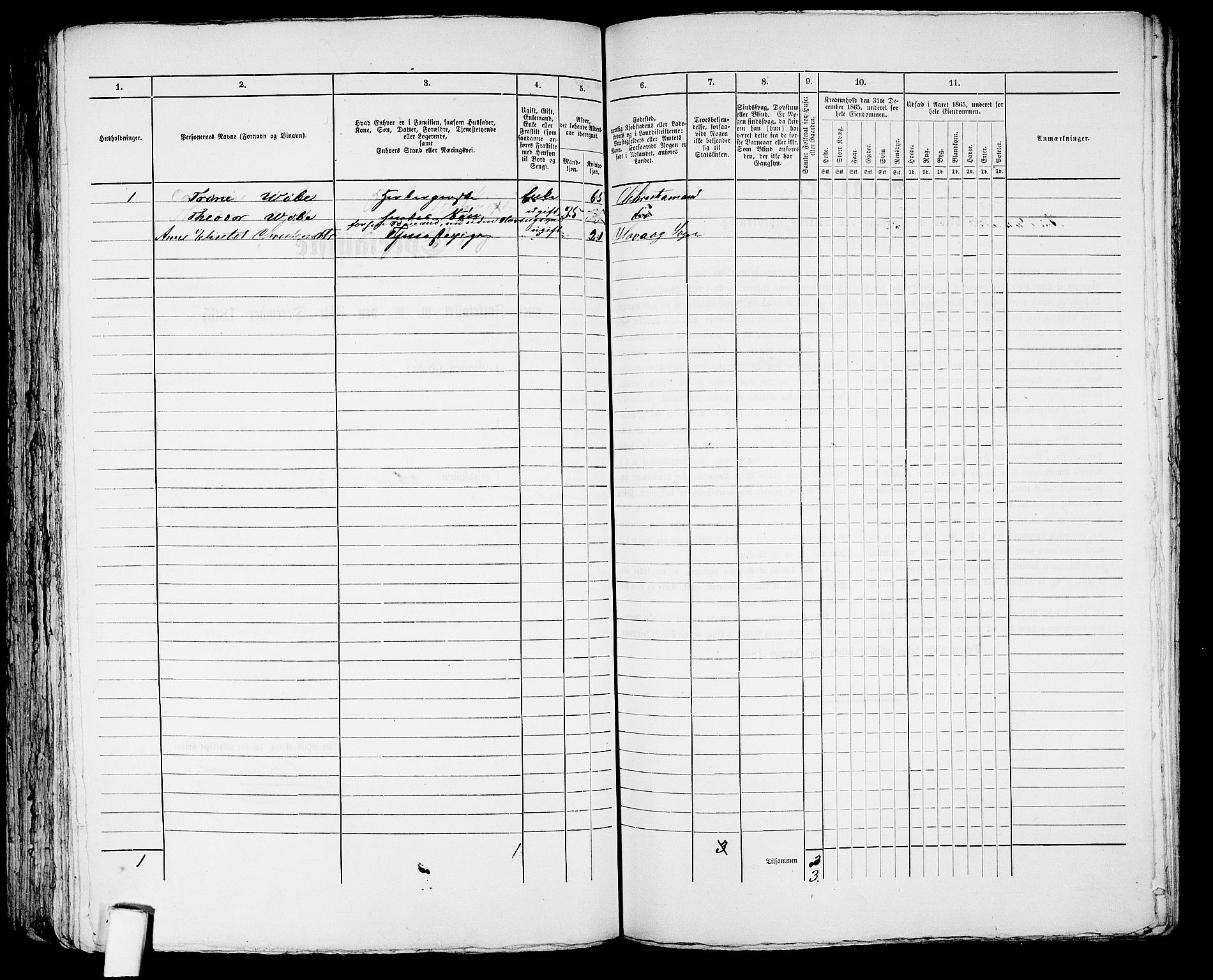 RA, 1865 census for Kristiansand, 1865, p. 1873