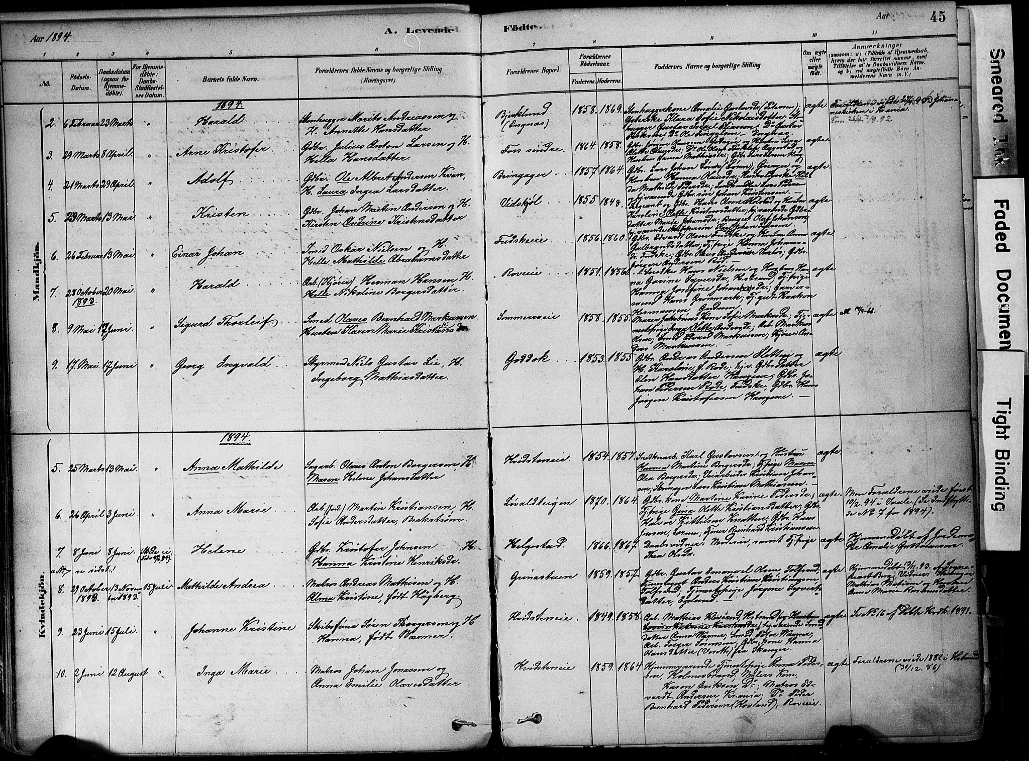 Botne kirkebøker, SAKO/A-340/F/Fa/L0007: Parish register (official) no. I 7, 1878-1910, p. 45