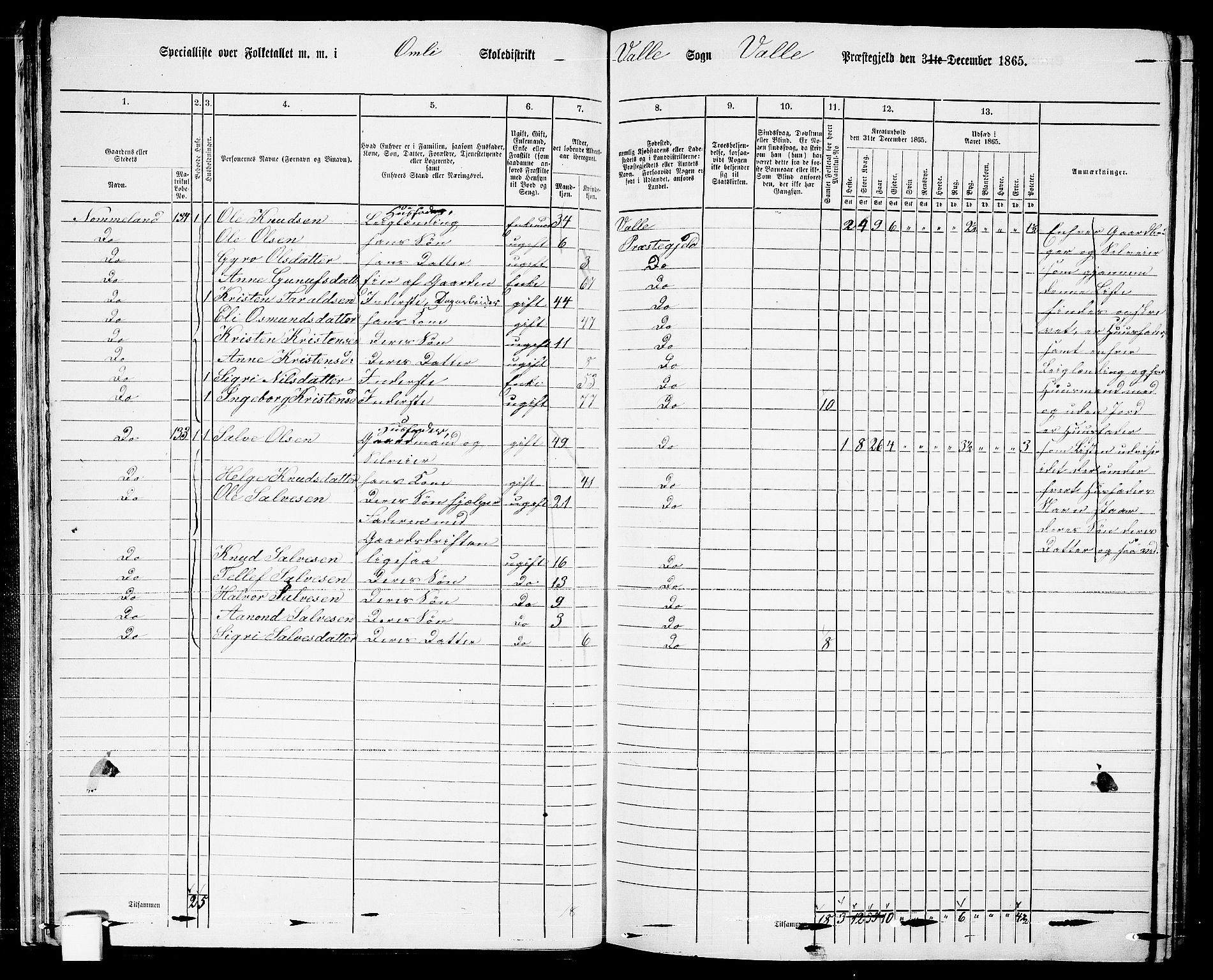 RA, 1865 census for Valle, 1865, p. 27