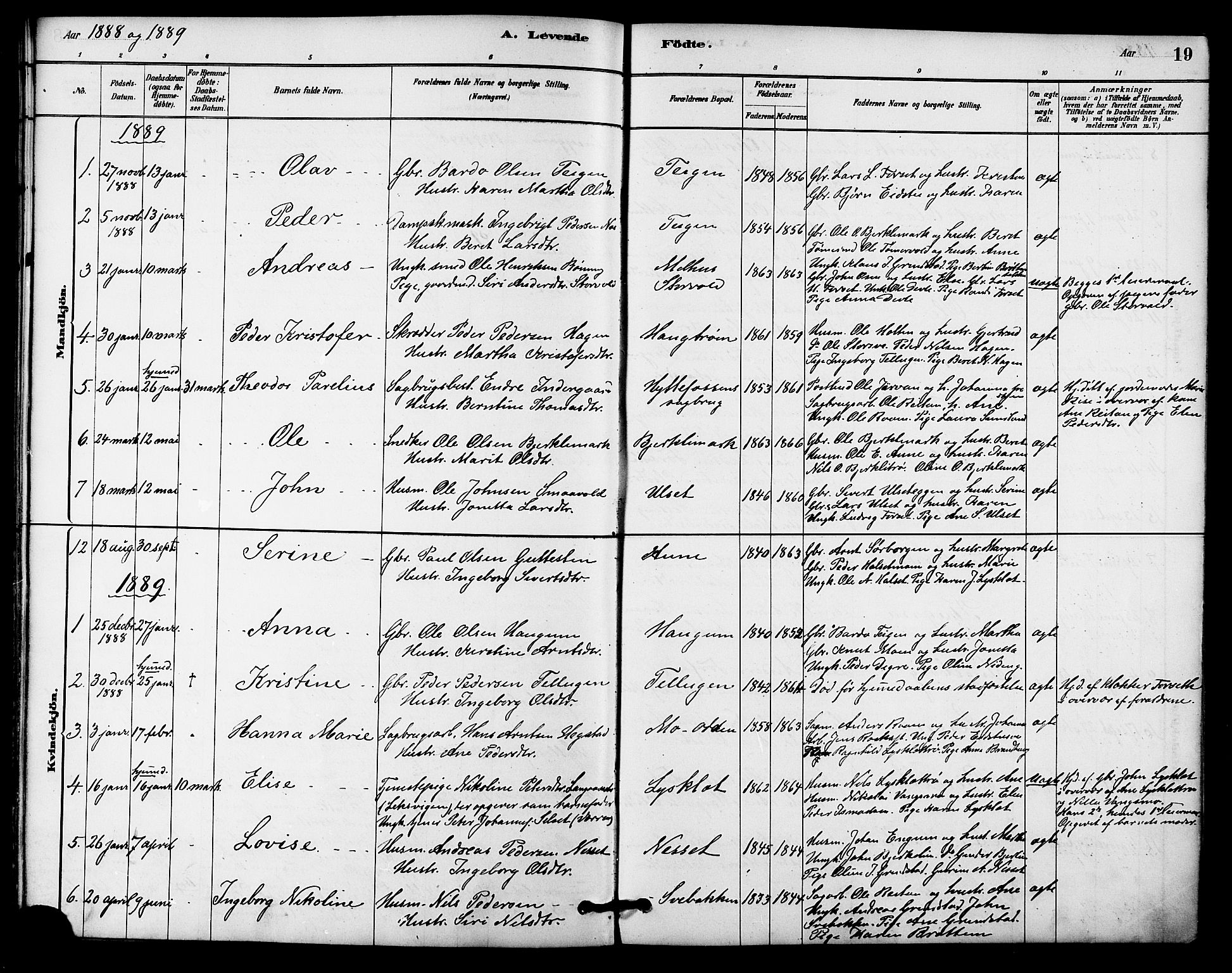 Ministerialprotokoller, klokkerbøker og fødselsregistre - Sør-Trøndelag, SAT/A-1456/618/L0444: Parish register (official) no. 618A07, 1880-1898, p. 19