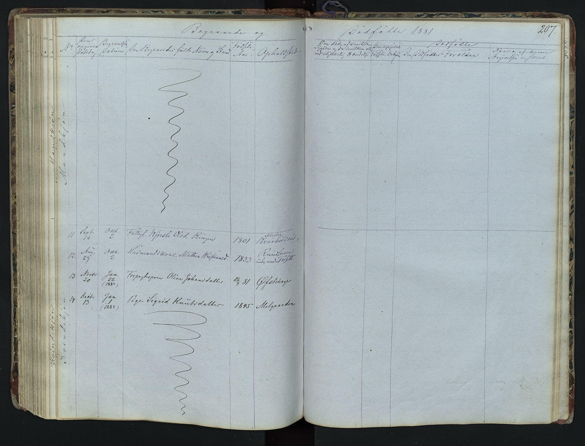 Vestre Gausdal prestekontor, SAH/PREST-094/H/Ha/Hab/L0001: Parish register (copy) no. 1, 1867-1895, p. 207