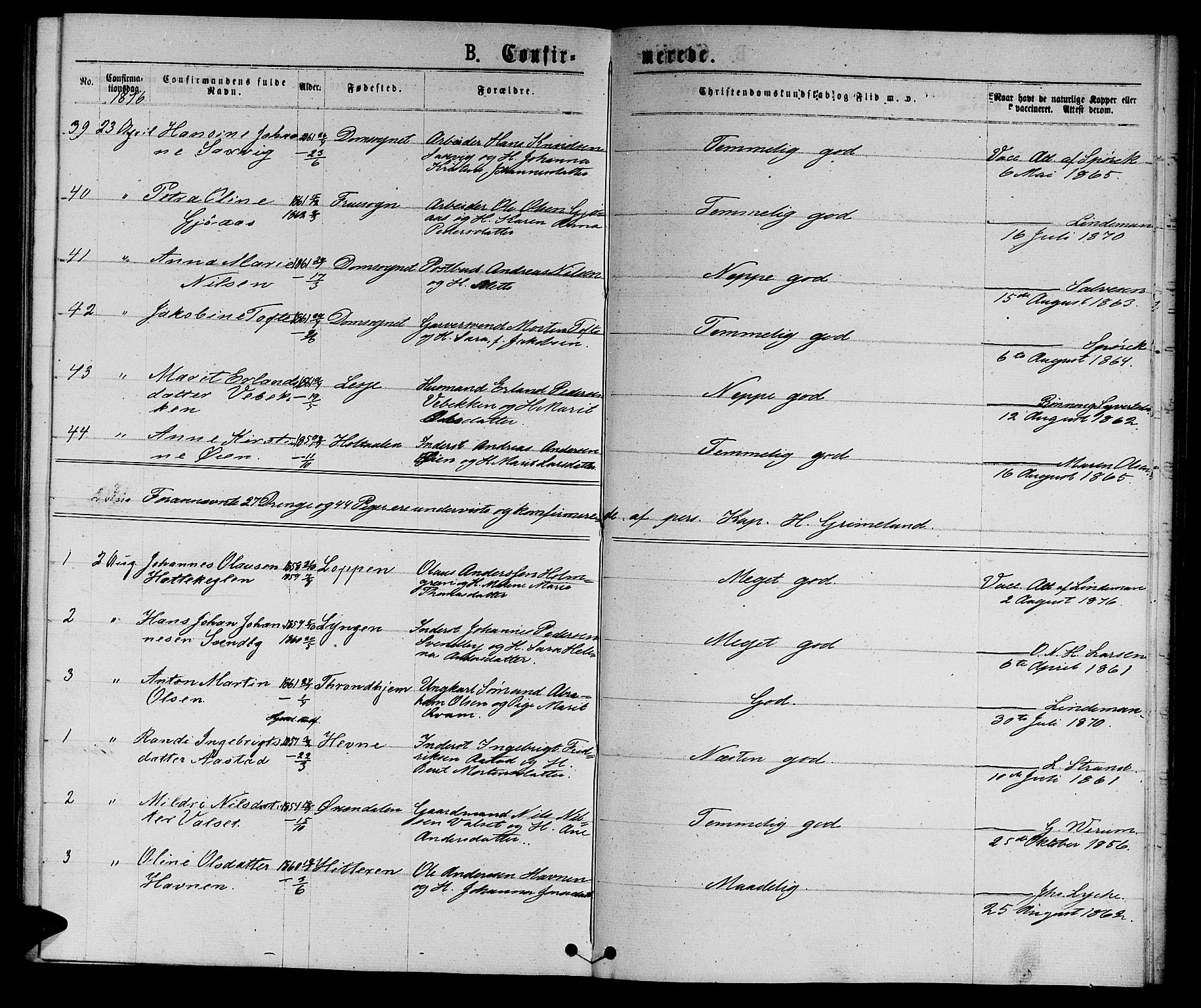 Ministerialprotokoller, klokkerbøker og fødselsregistre - Sør-Trøndelag, AV/SAT-A-1456/601/L0088: Parish register (copy) no. 601C06, 1870-1878, p. 211g