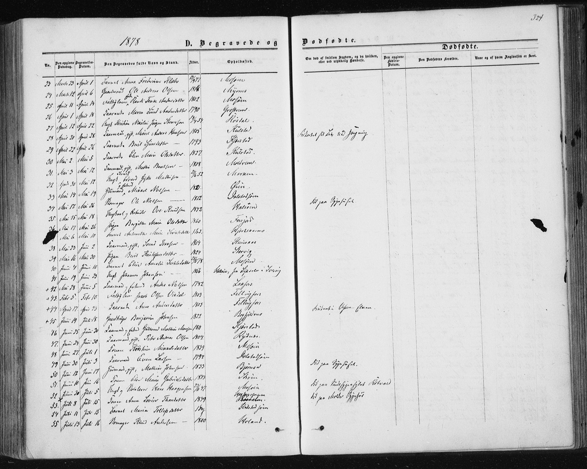 Ministerialprotokoller, klokkerbøker og fødselsregistre - Nordland, SAT/A-1459/820/L0294: Parish register (official) no. 820A15, 1866-1879, p. 324