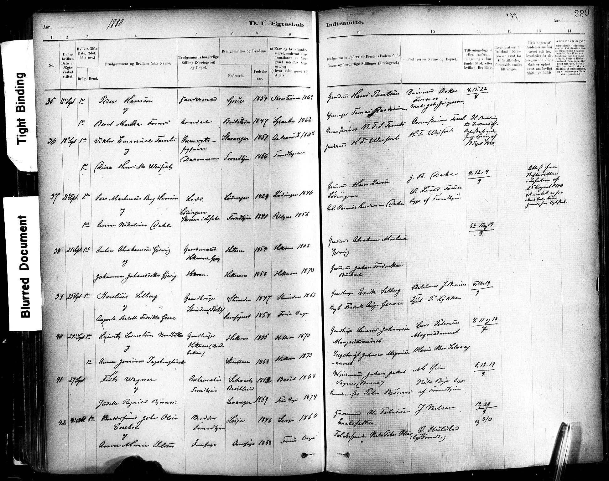 Ministerialprotokoller, klokkerbøker og fødselsregistre - Sør-Trøndelag, AV/SAT-A-1456/602/L0119: Parish register (official) no. 602A17, 1880-1901, p. 239