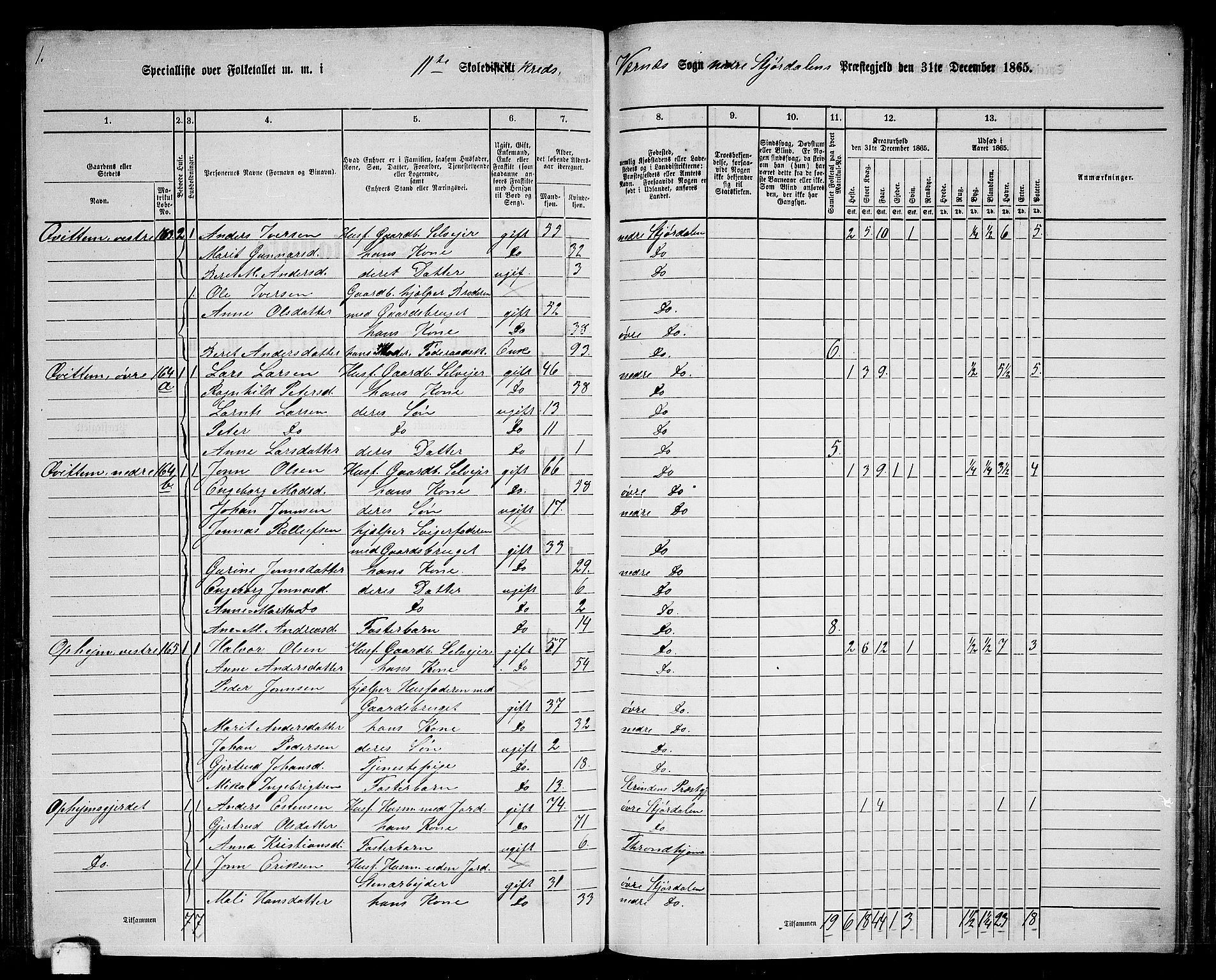 RA, 1865 census for Nedre Stjørdal, 1865, p. 220