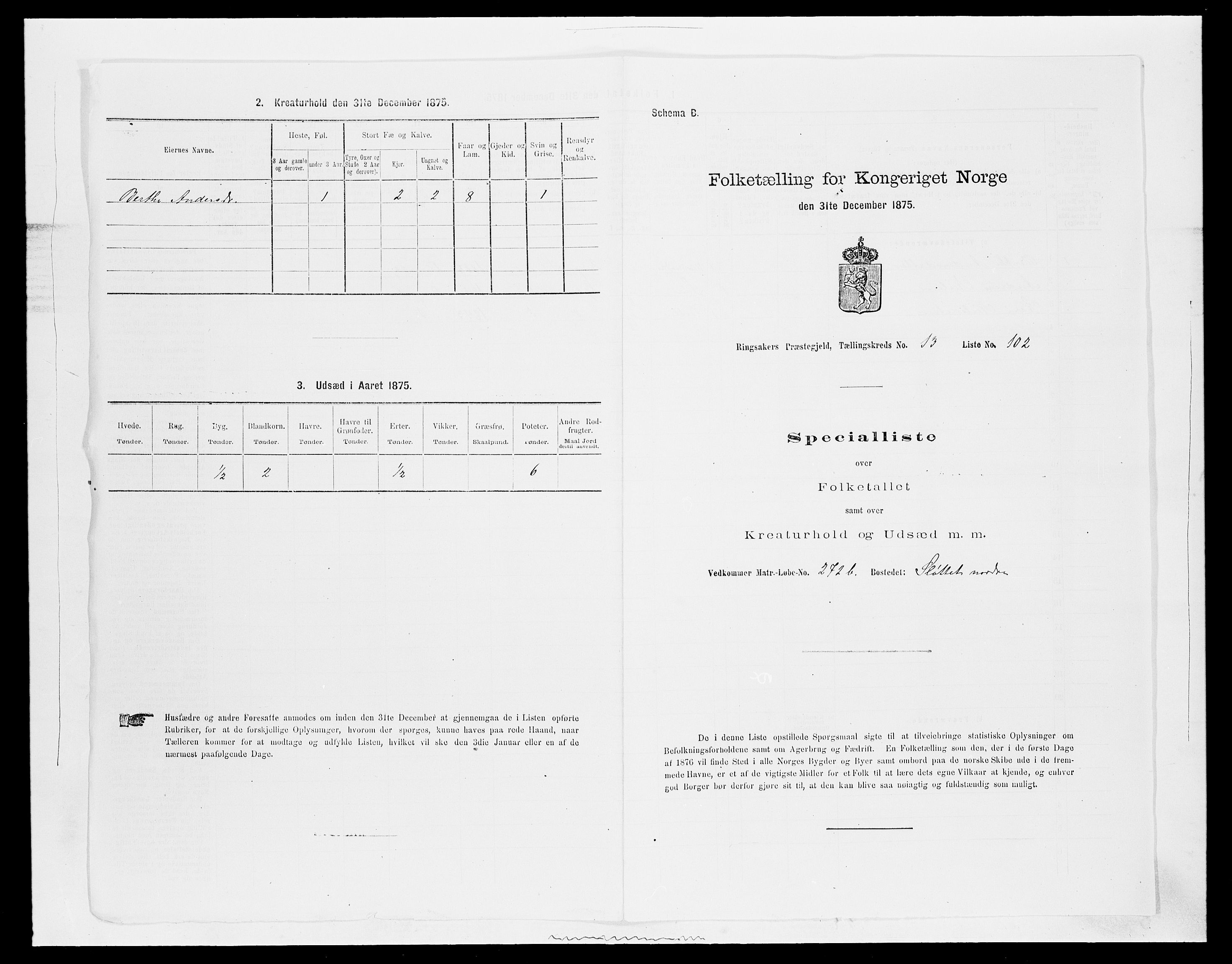 SAH, 1875 census for 0412P Ringsaker, 1875, p. 2813