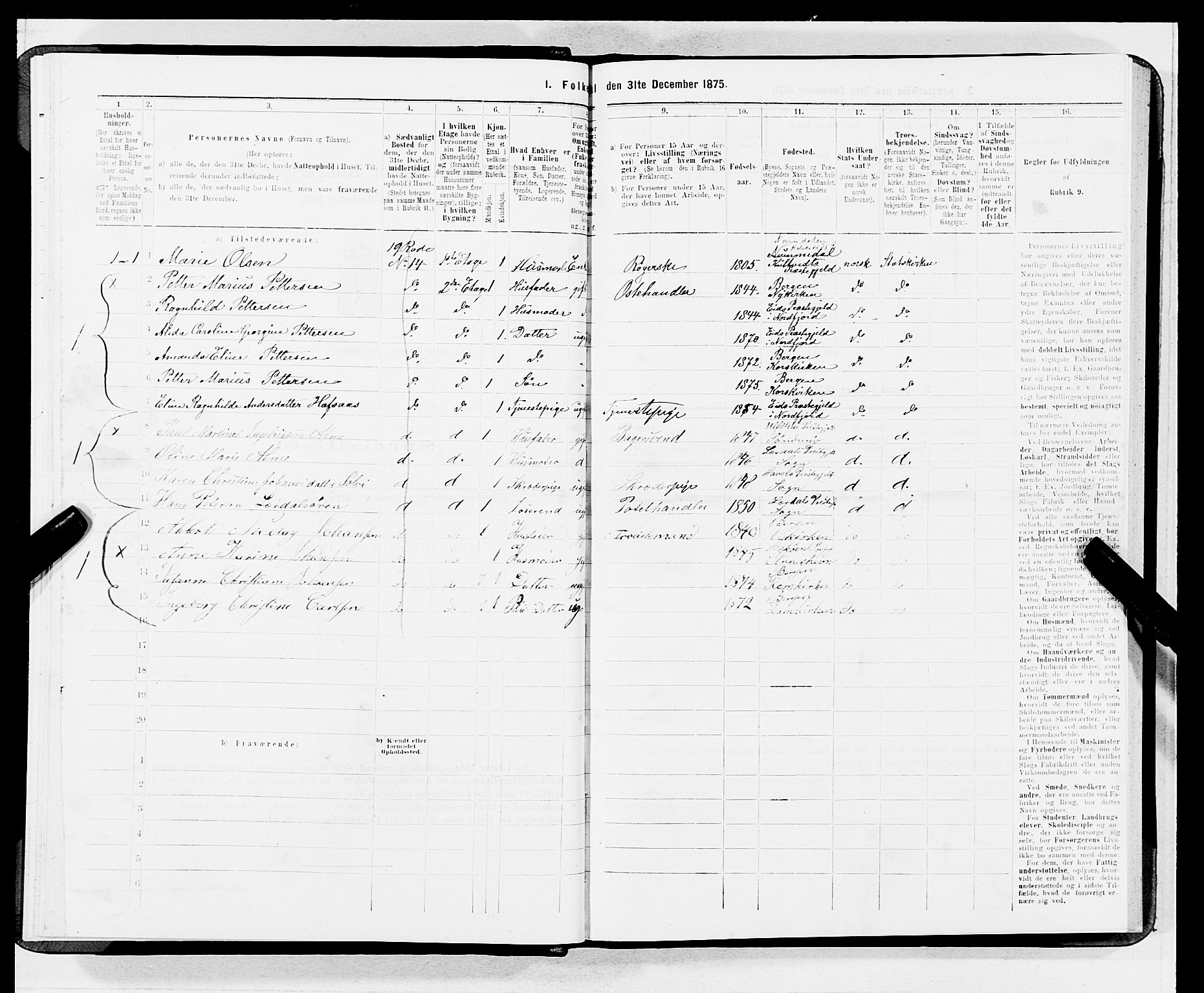 SAB, 1875 census for 1301 Bergen, 1875, p. 4341