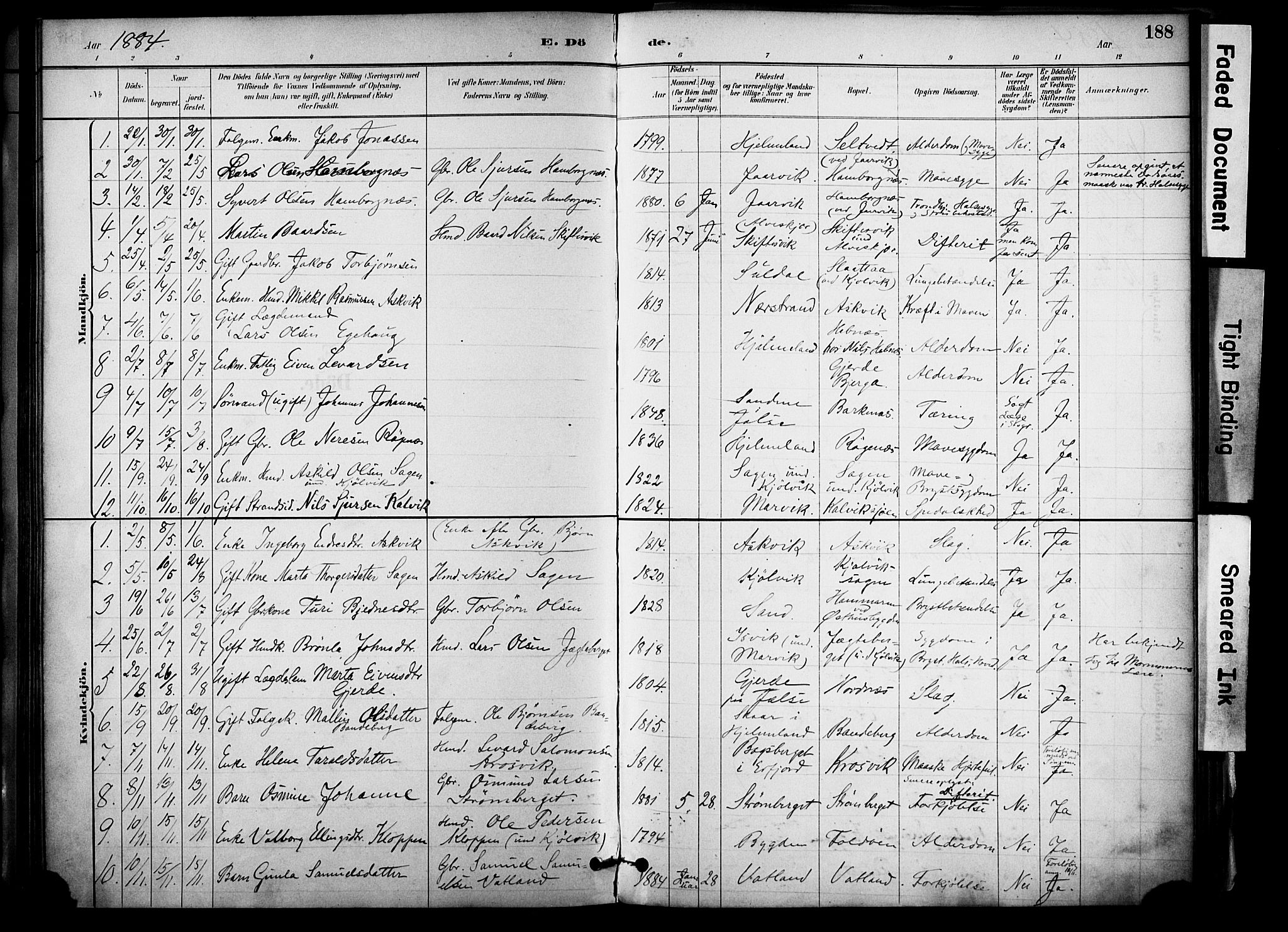 Jelsa sokneprestkontor, SAST/A-101842/01/IV: Parish register (official) no. A 10, 1884-1906, p. 188