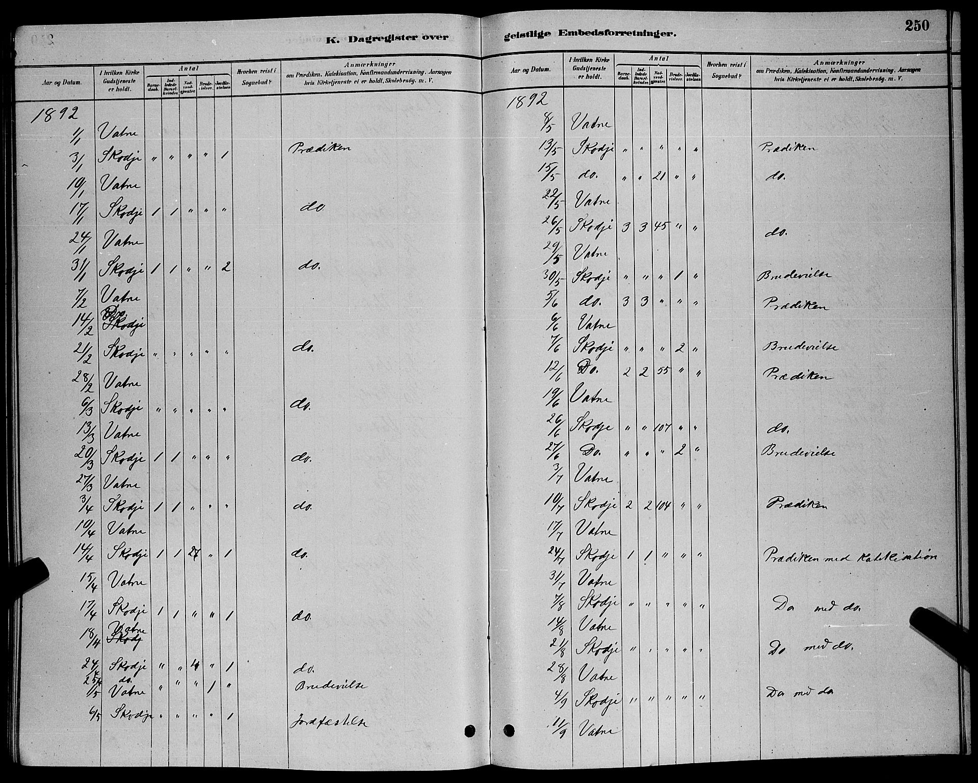 Ministerialprotokoller, klokkerbøker og fødselsregistre - Møre og Romsdal, AV/SAT-A-1454/524/L0365: Parish register (copy) no. 524C06, 1880-1899, p. 250