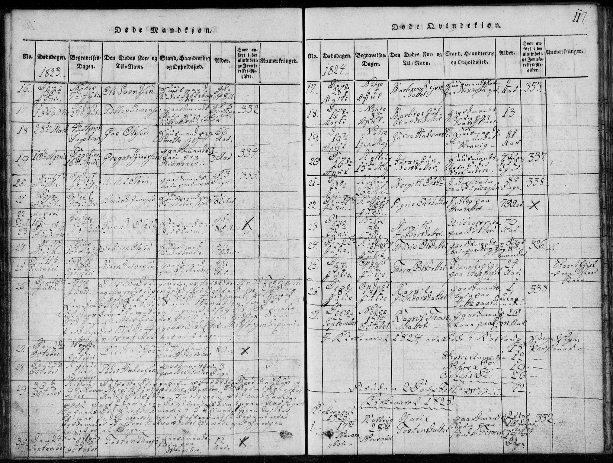 Rollag kirkebøker, AV/SAKO-A-240/G/Ga/L0001: Parish register (copy) no. I 1, 1814-1831, p. 117