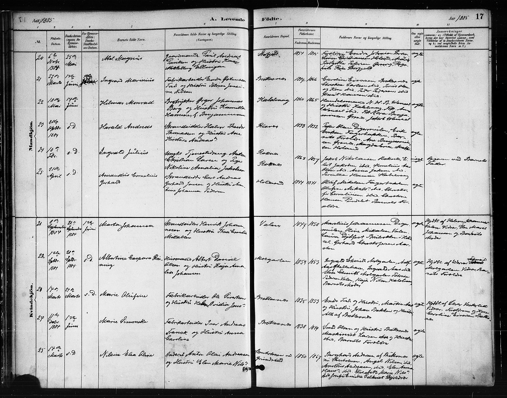 Ministerialprotokoller, klokkerbøker og fødselsregistre - Nordland, AV/SAT-A-1459/874/L1059: Parish register (official) no. 874A03, 1884-1890, p. 17