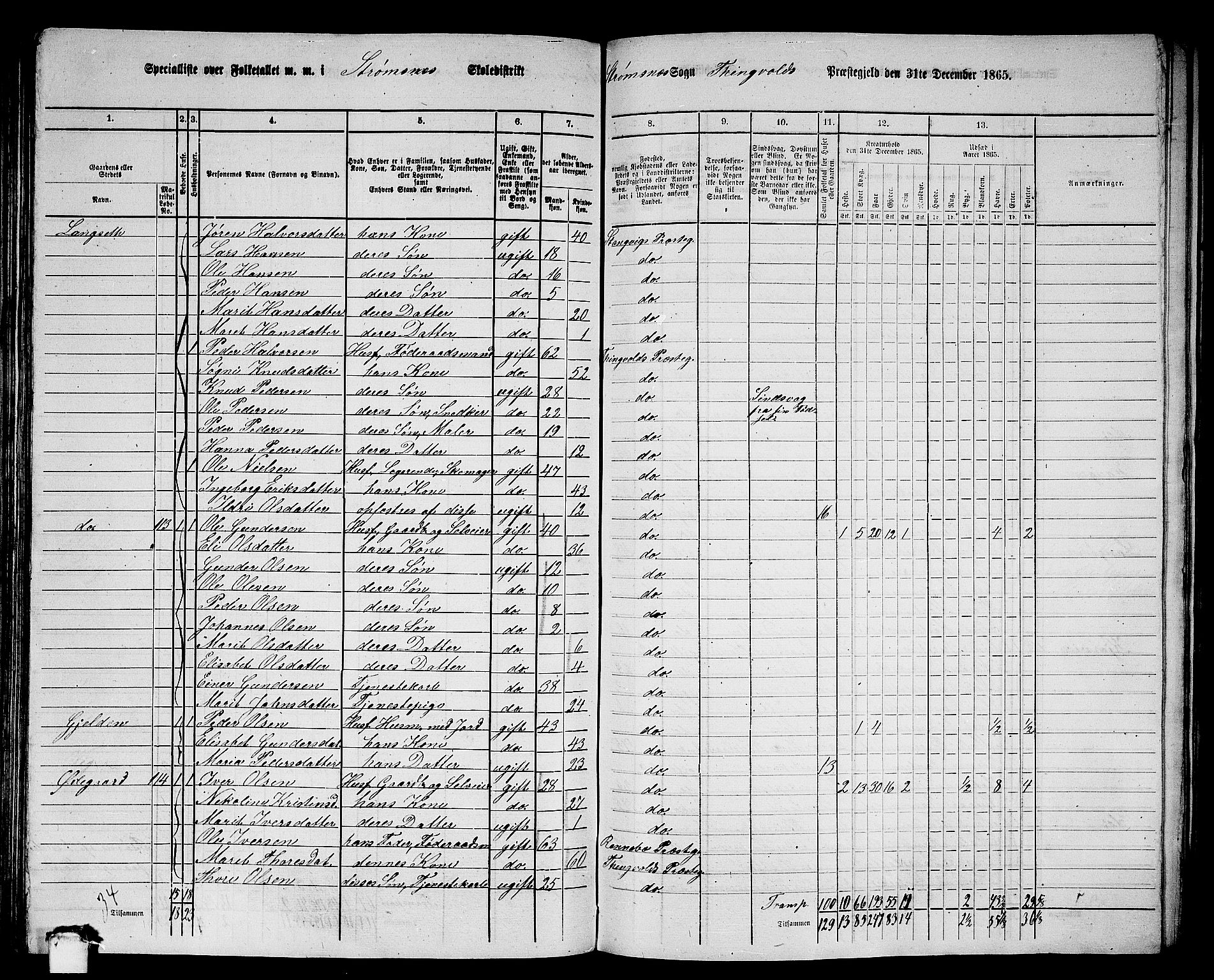 RA, 1865 census for Tingvoll, 1865, p. 117