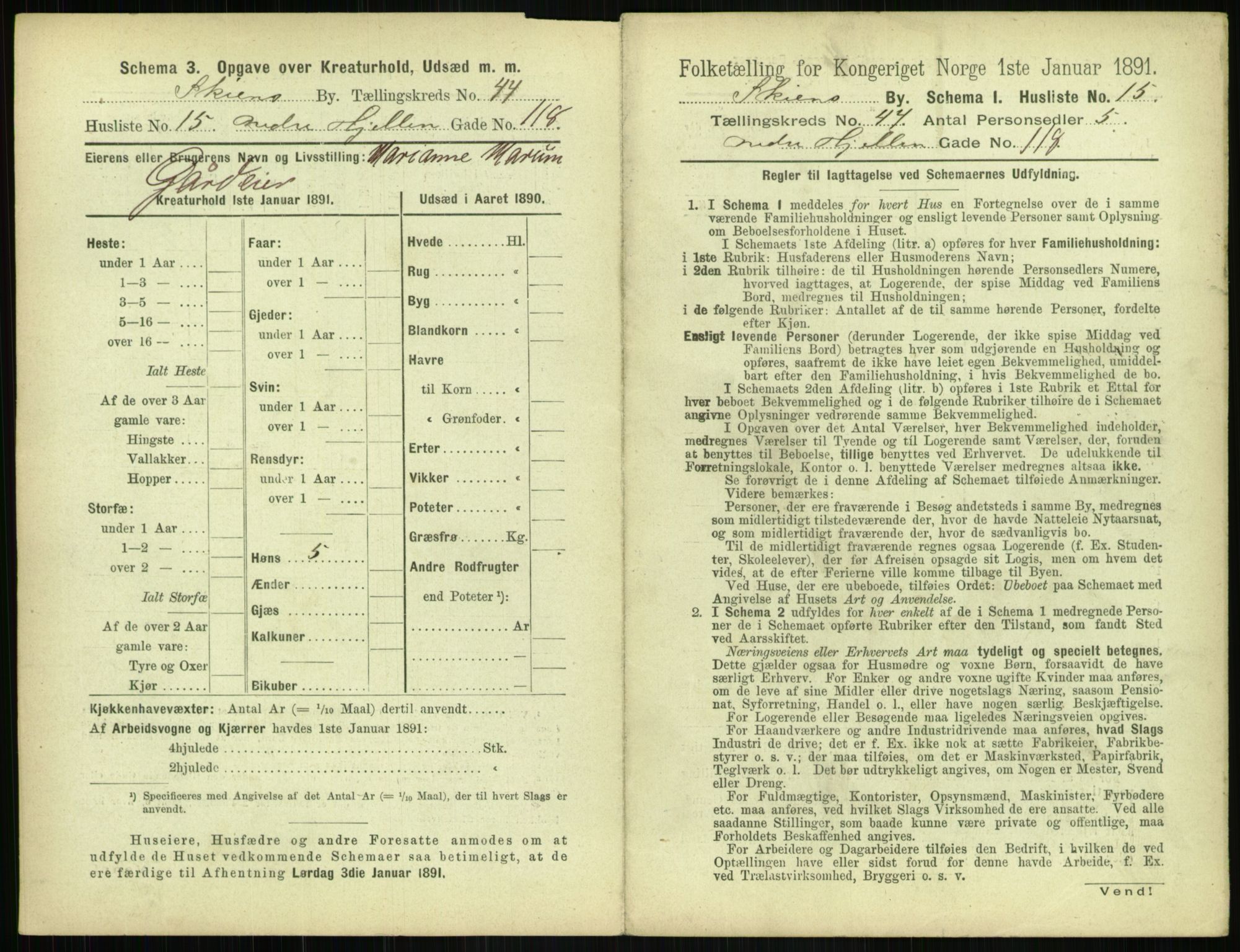 RA, 1891 census for 0806 Skien, 1891, p. 1562