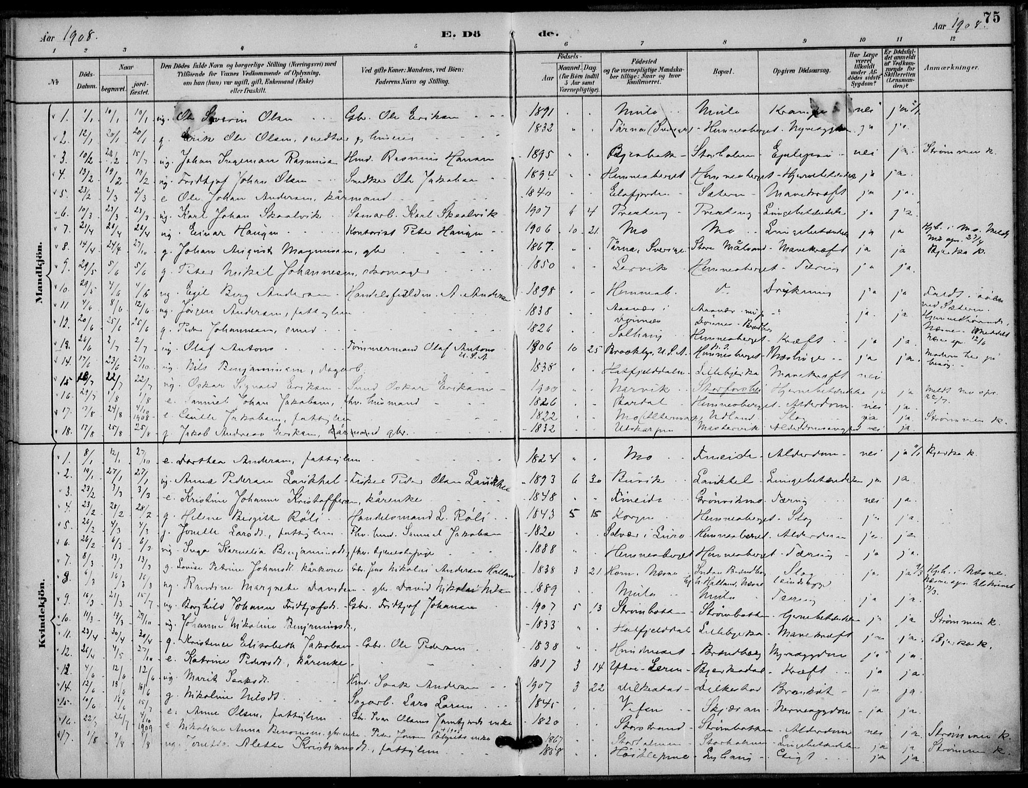 Ministerialprotokoller, klokkerbøker og fødselsregistre - Nordland, SAT/A-1459/825/L0363: Parish register (official) no. 825A17, 1890-1909, p. 75