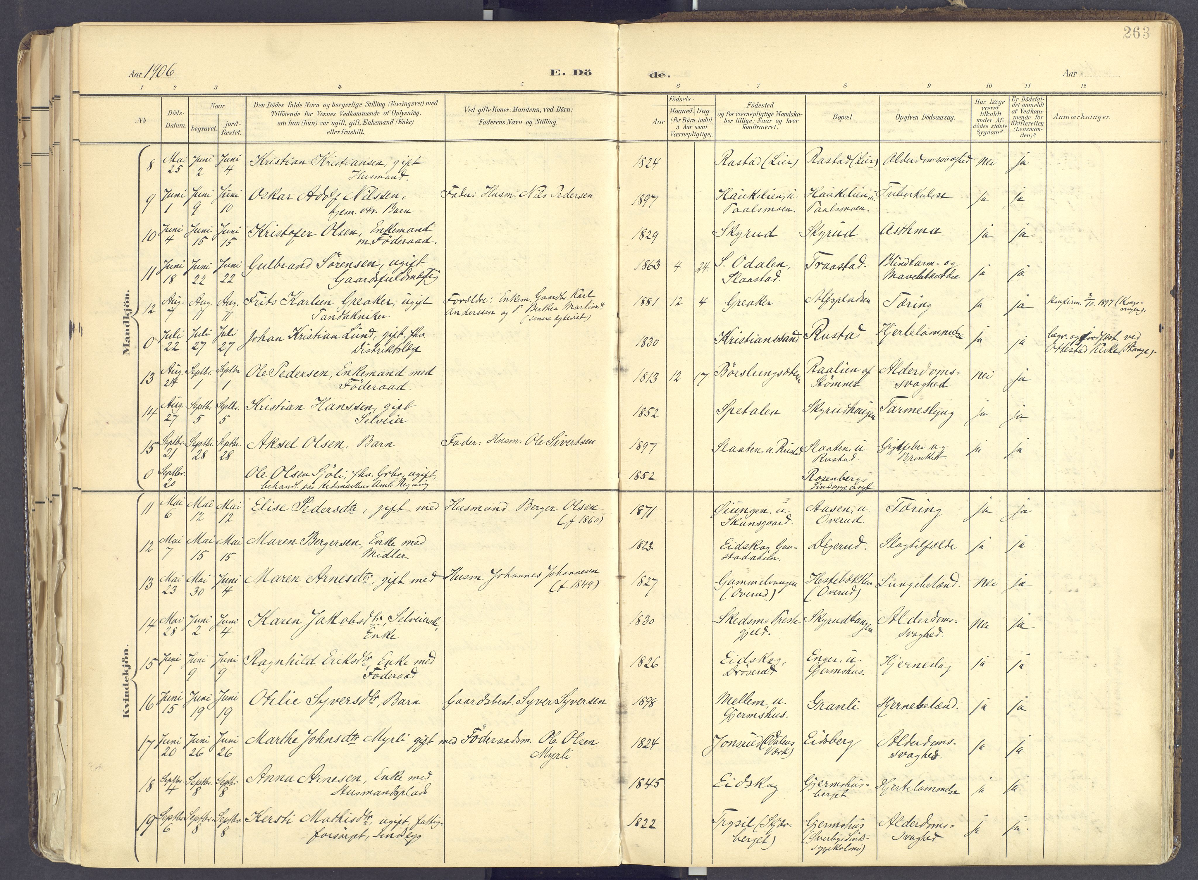 Vinger prestekontor, AV/SAH-PREST-024/H/Ha/Haa/L0017: Parish register (official) no. 17, 1901-1927, p. 263