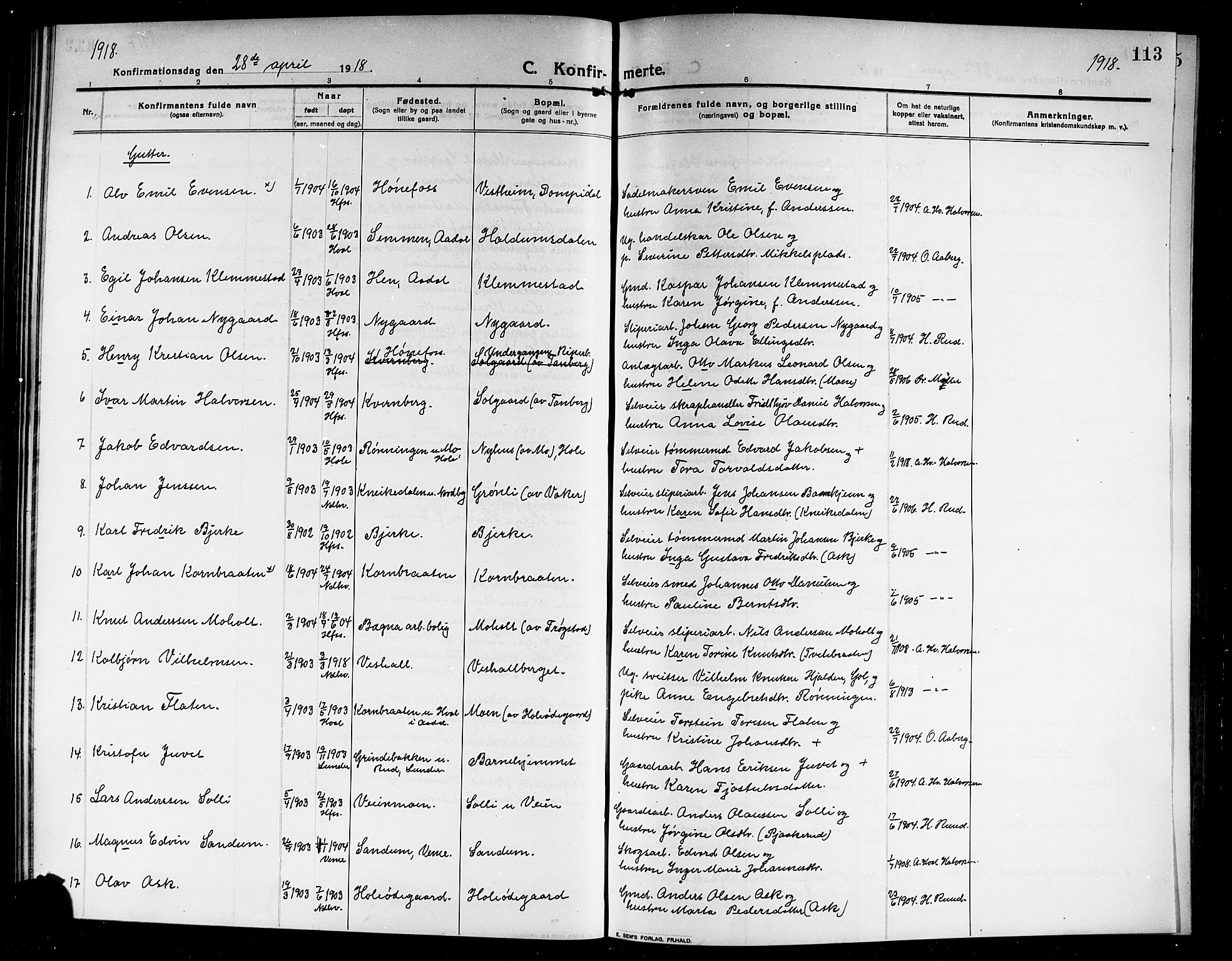 Norderhov kirkebøker, AV/SAKO-A-237/G/Ga/L0009: Parish register (copy) no. I 9, 1913-1920, p. 113