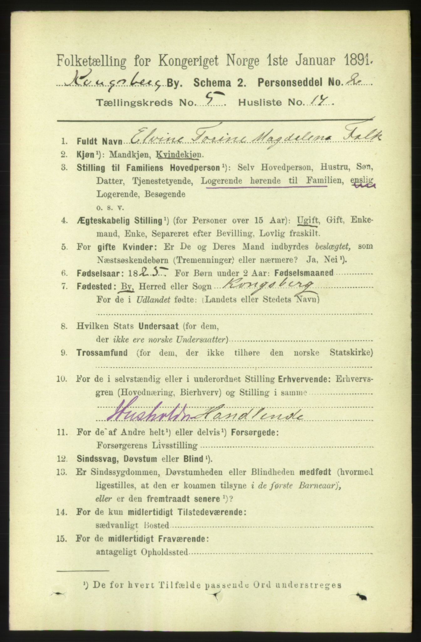 RA, 1891 census for 0604 Kongsberg, 1891, p. 4356