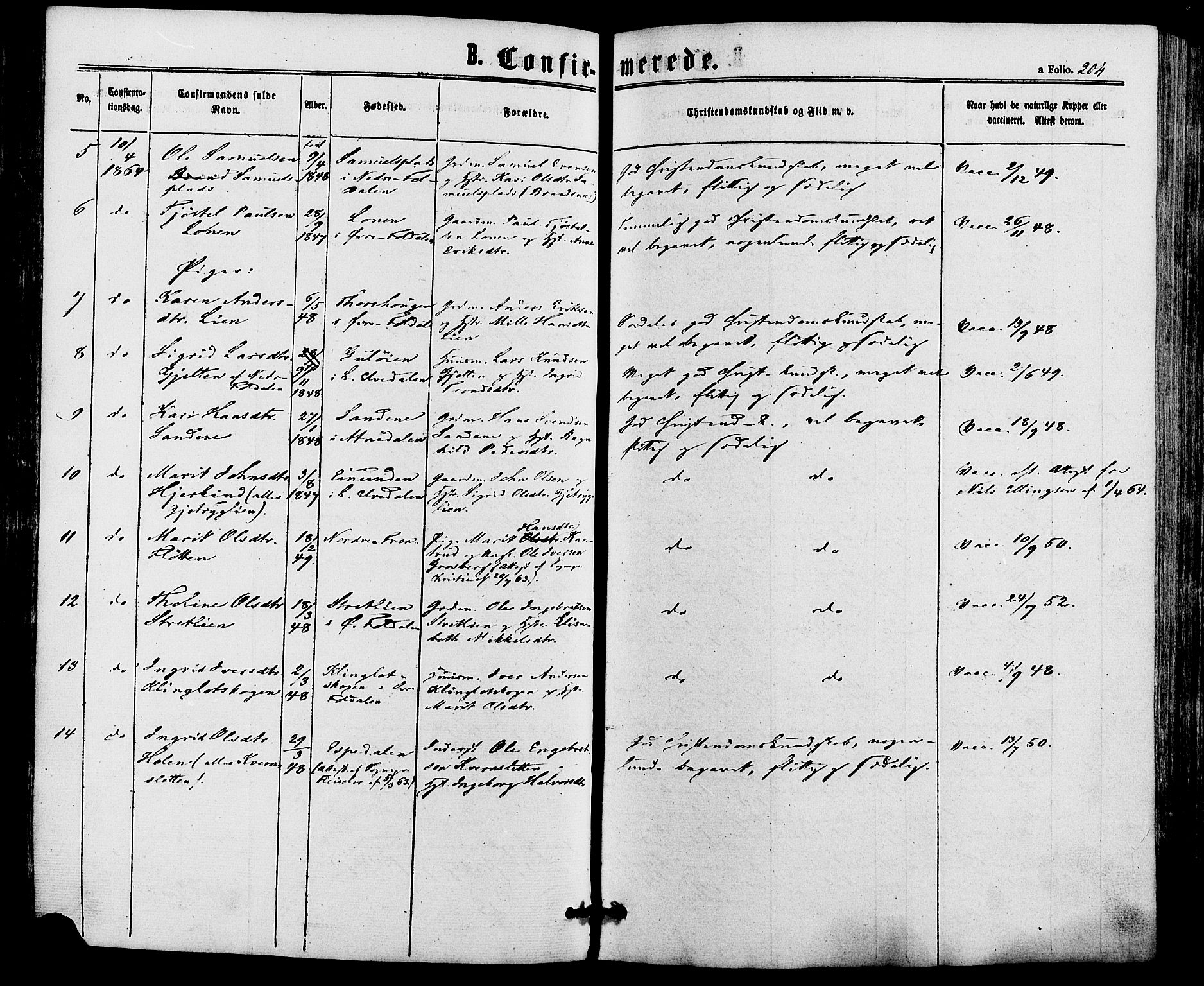 Alvdal prestekontor, AV/SAH-PREST-060/H/Ha/Haa/L0001: Parish register (official) no. 1, 1863-1882, p. 204