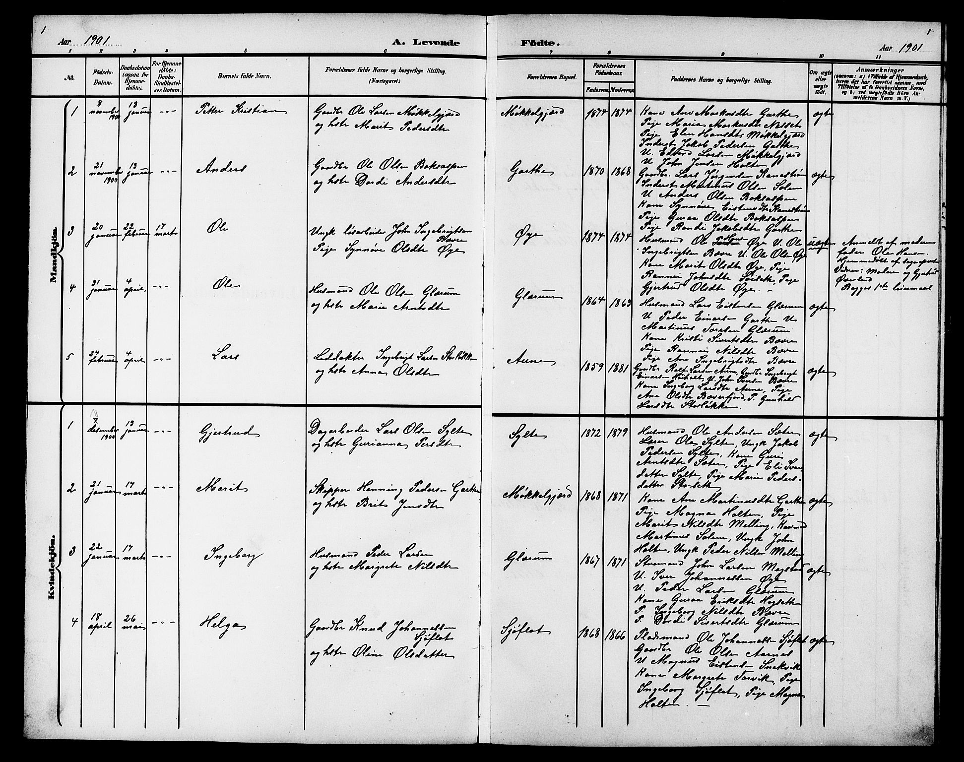 Ministerialprotokoller, klokkerbøker og fødselsregistre - Møre og Romsdal, AV/SAT-A-1454/595/L1053: Parish register (copy) no. 595C05, 1901-1919, p. 1