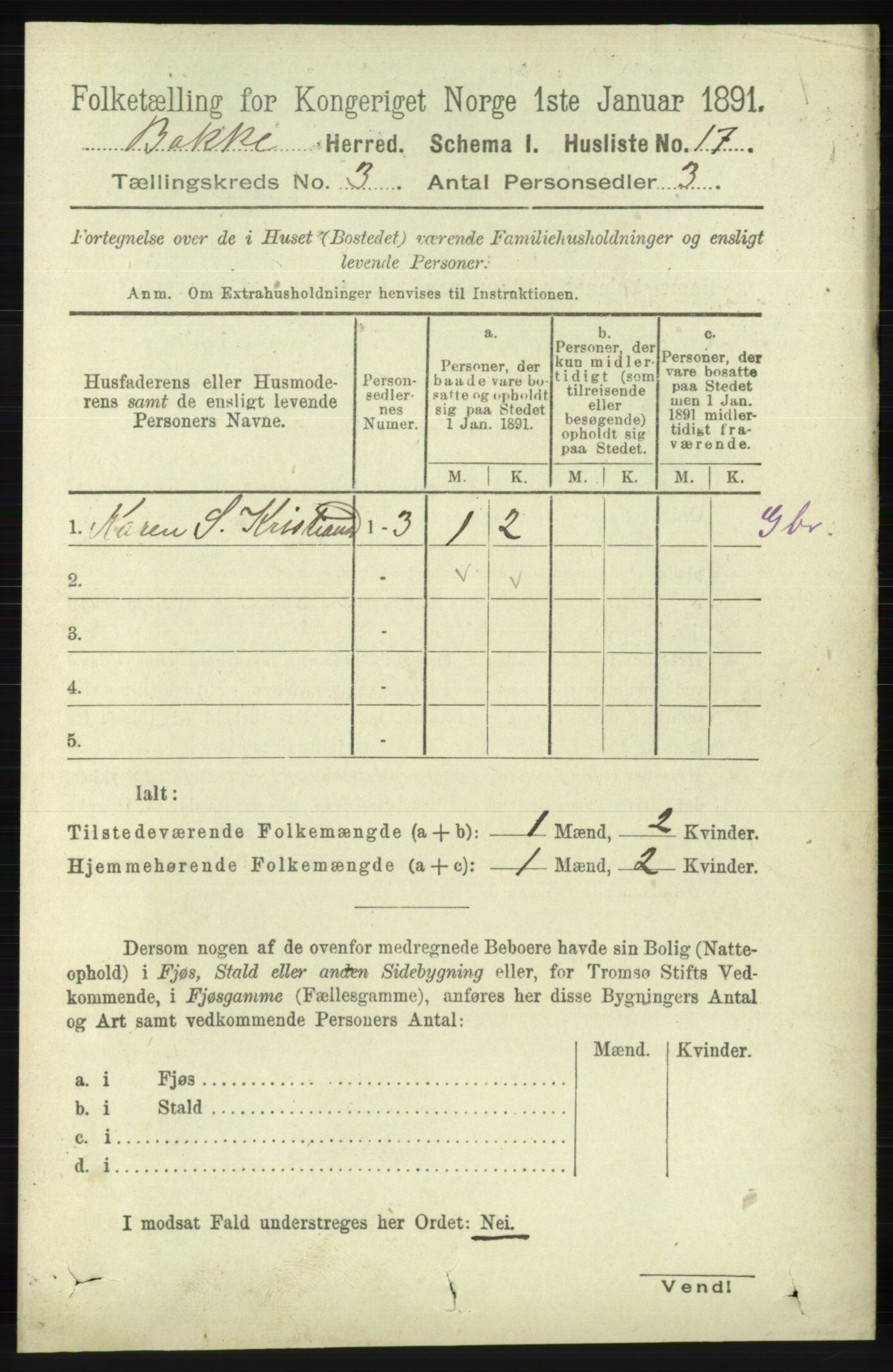 RA, 1891 census for 1045 Bakke, 1891, p. 405