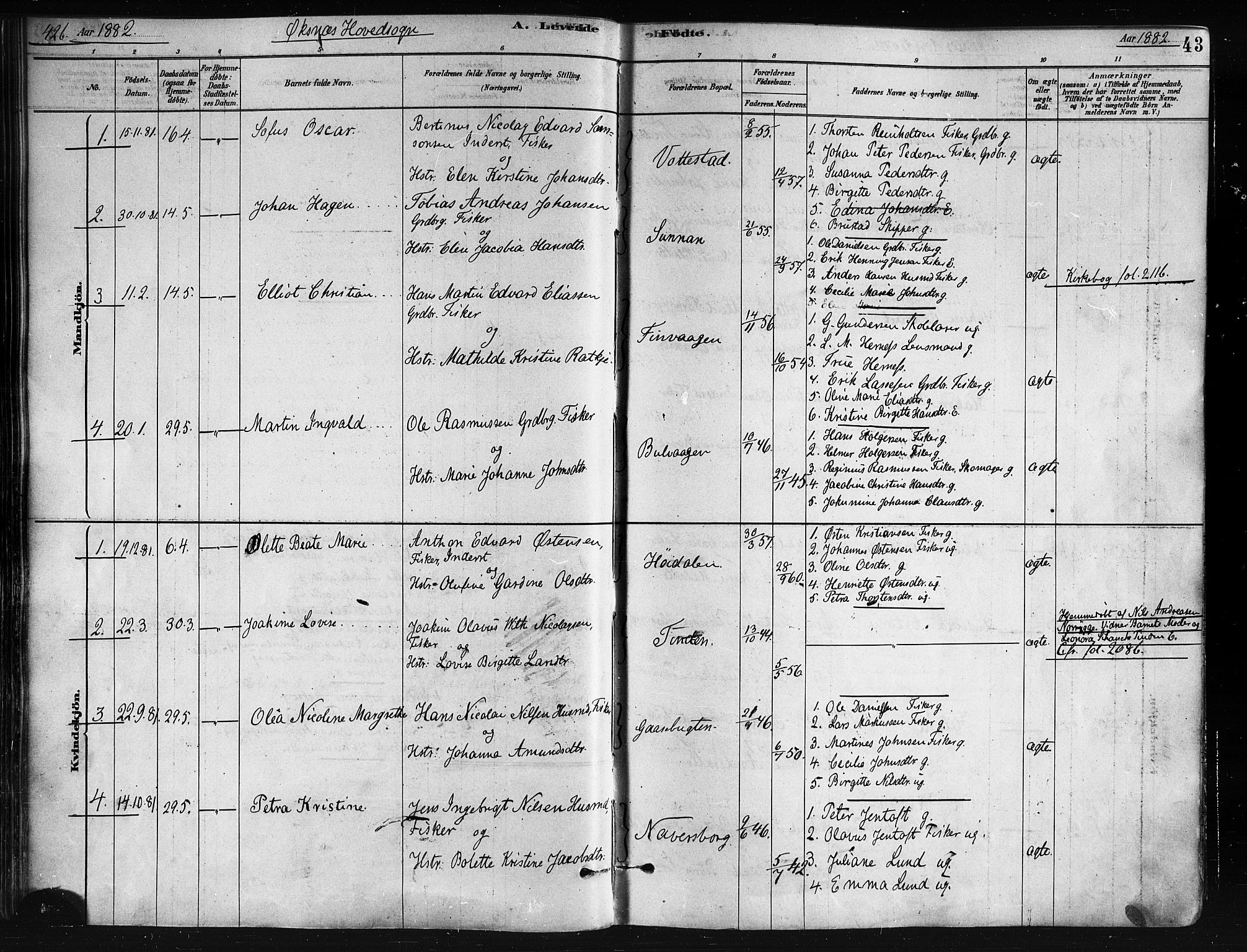 Ministerialprotokoller, klokkerbøker og fødselsregistre - Nordland, SAT/A-1459/893/L1335: Parish register (official) no. 893A08 /1, 1878-1884, p. 43