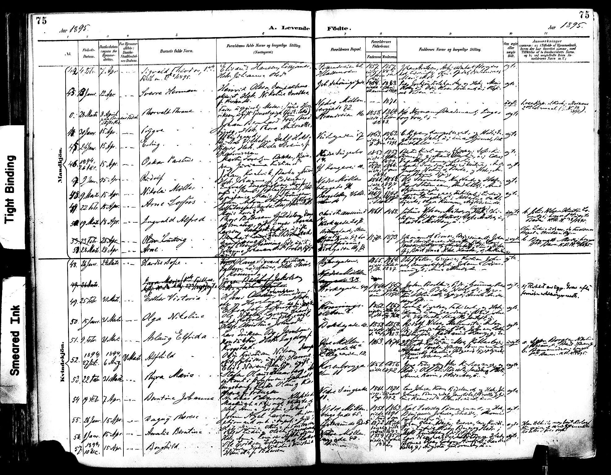 Ministerialprotokoller, klokkerbøker og fødselsregistre - Sør-Trøndelag, SAT/A-1456/604/L0197: Parish register (official) no. 604A18, 1893-1900, p. 75