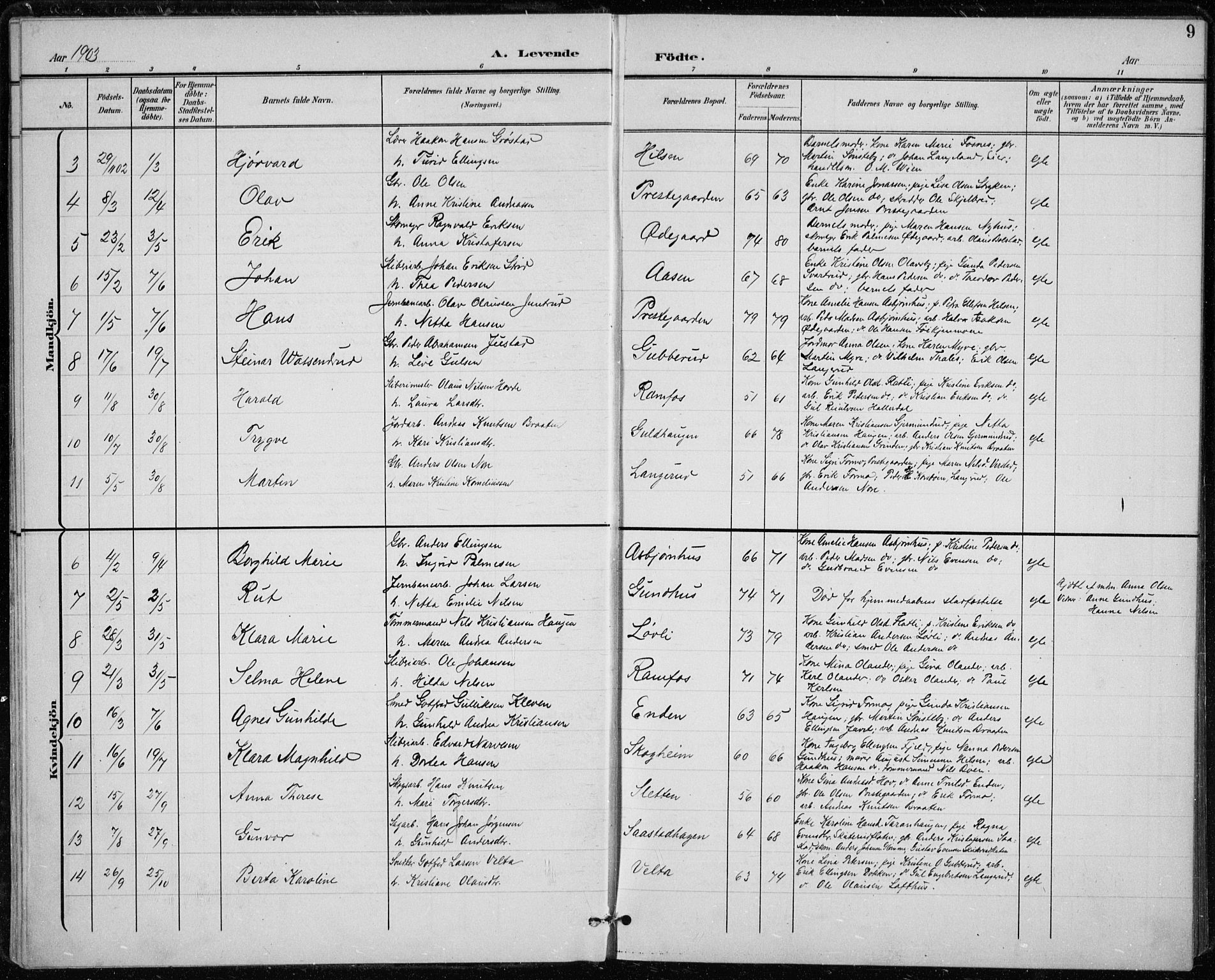 Modum kirkebøker, AV/SAKO-A-234/F/Fa/L0020: Parish register (official) no. 20, 1900-1917, p. 9