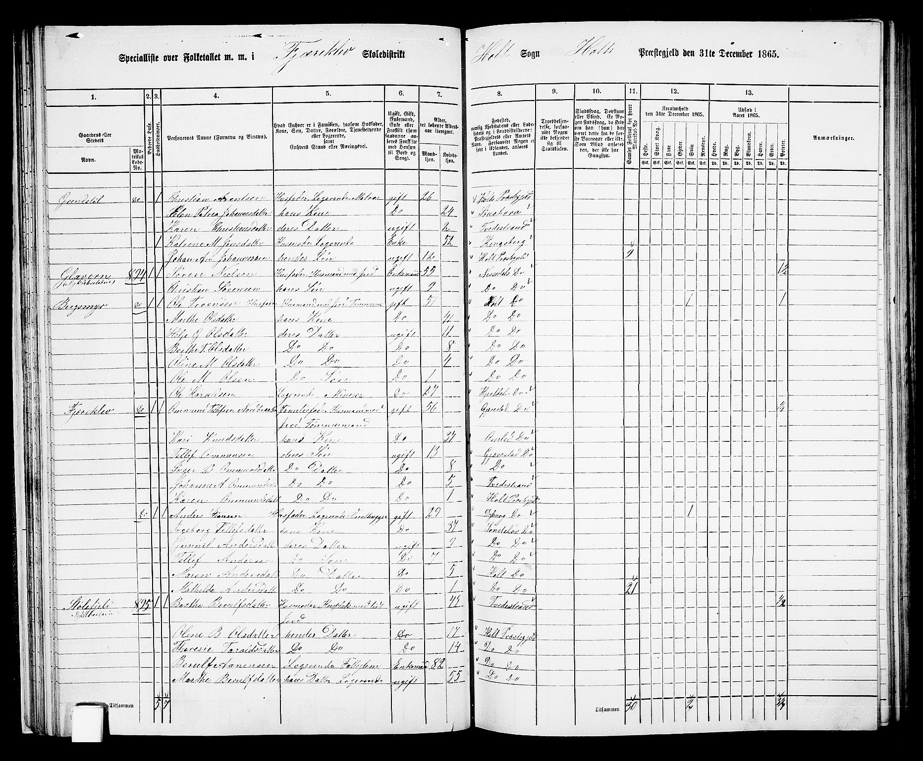 RA, 1865 census for Holt/Holt, 1865, p. 37