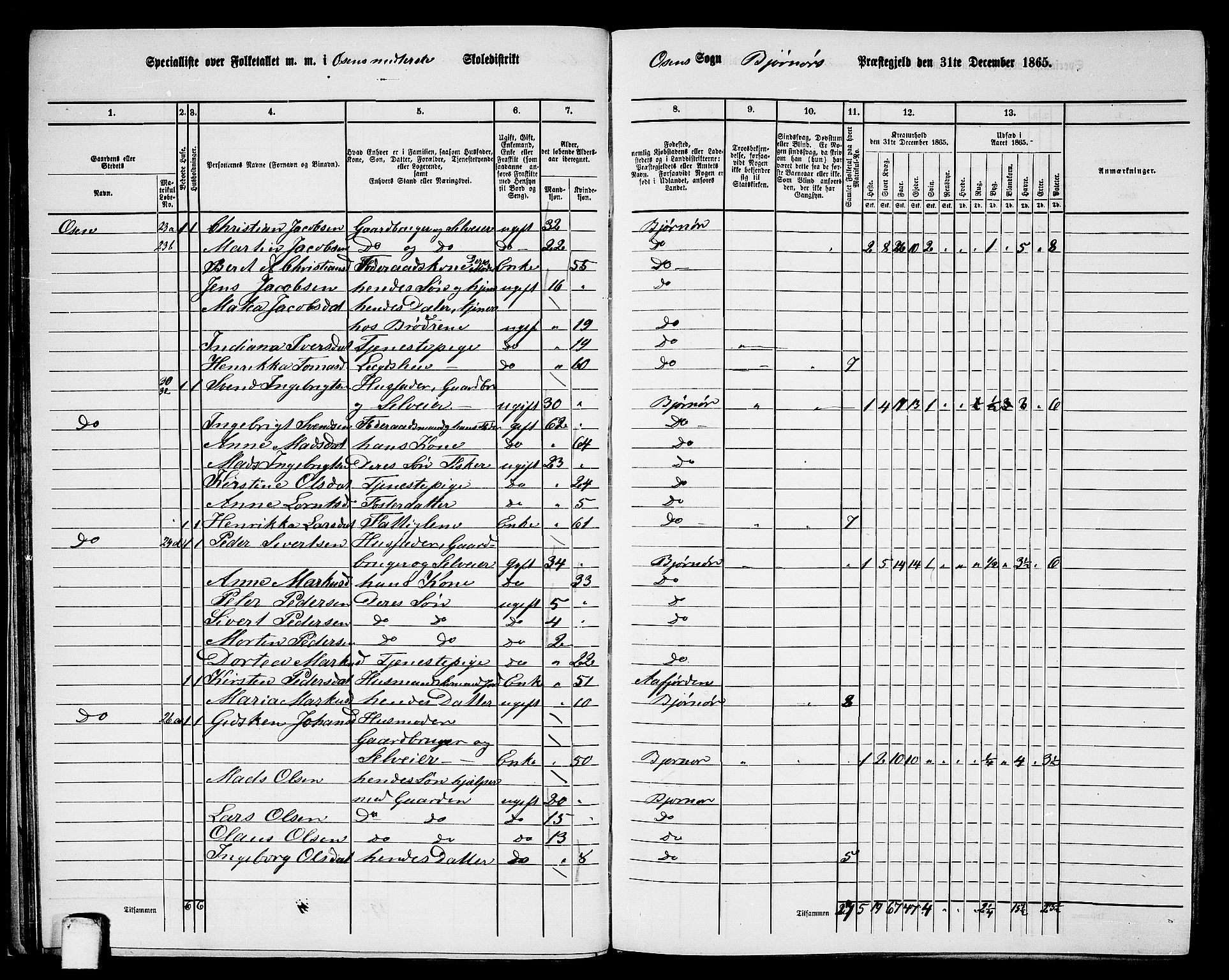 RA, 1865 census for Bjørnør, 1865, p. 38