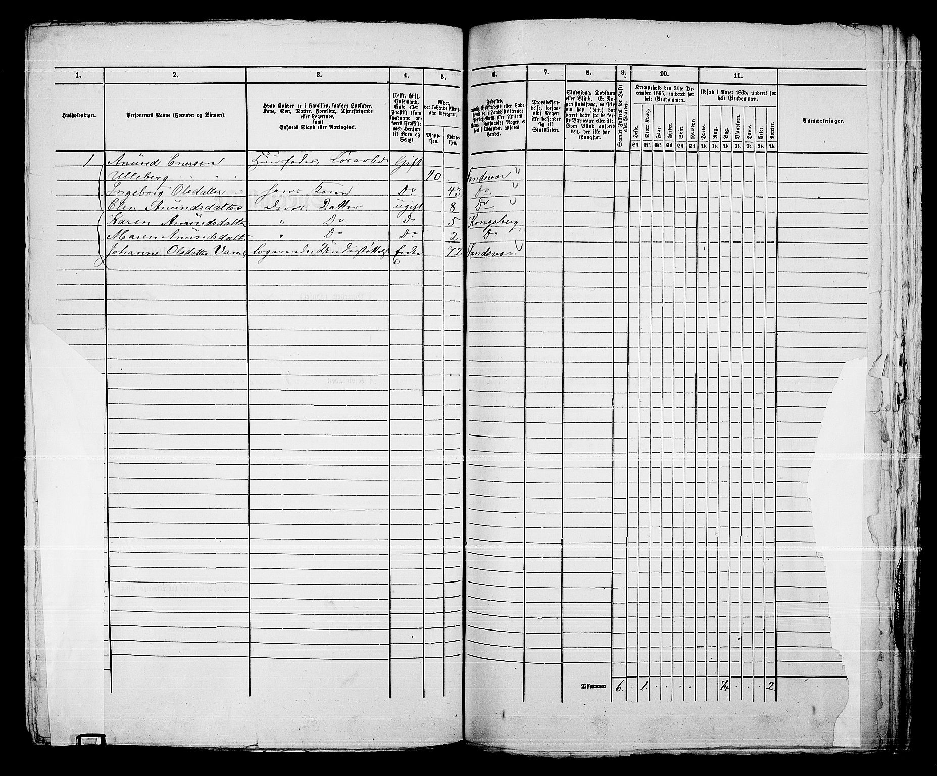 RA, 1865 census for Kongsberg/Kongsberg, 1865, p. 1319