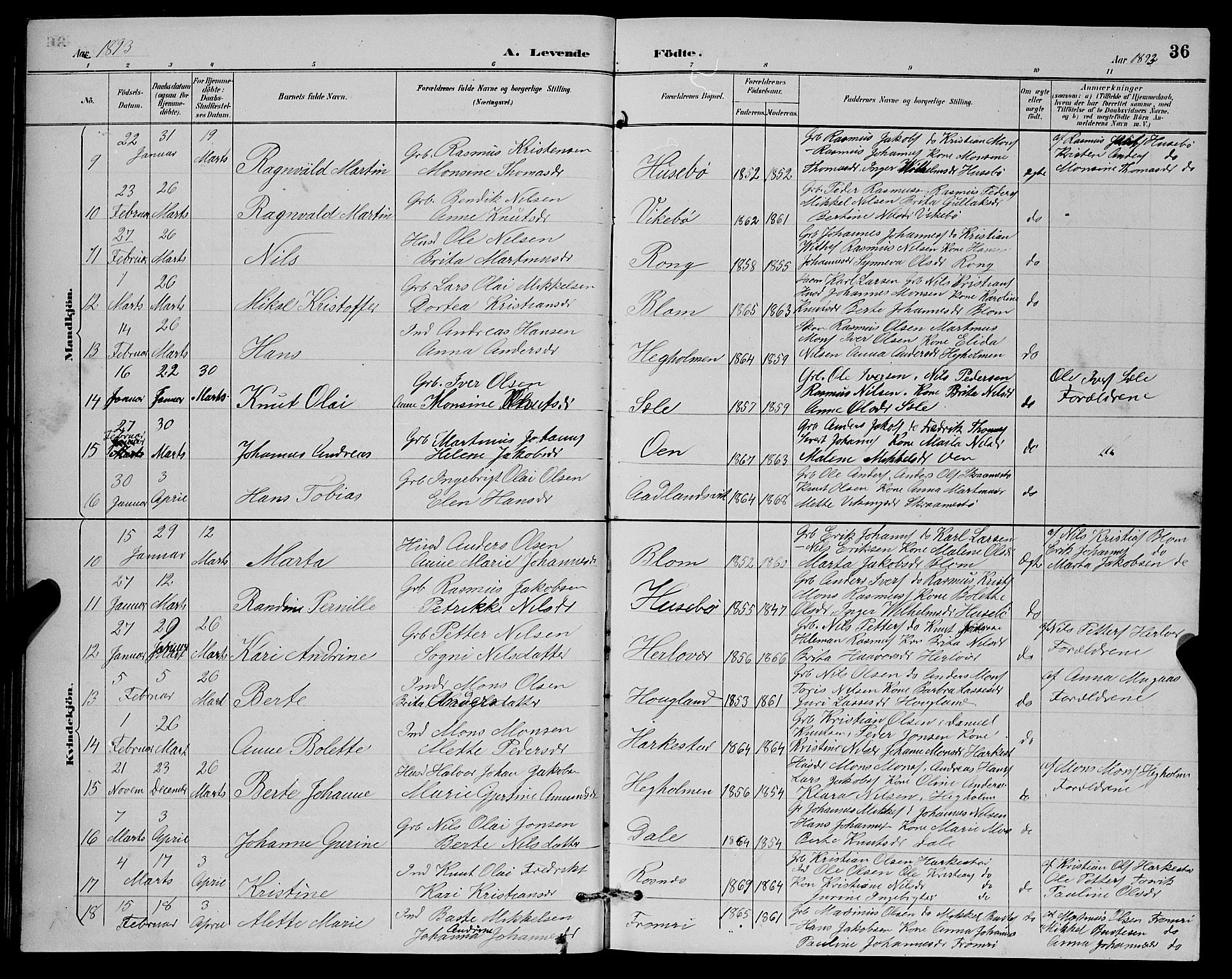 Herdla Sokneprestembete, SAB/A-75701/H/Hab: Parish register (copy) no. A 3, 1889-1899, p. 36