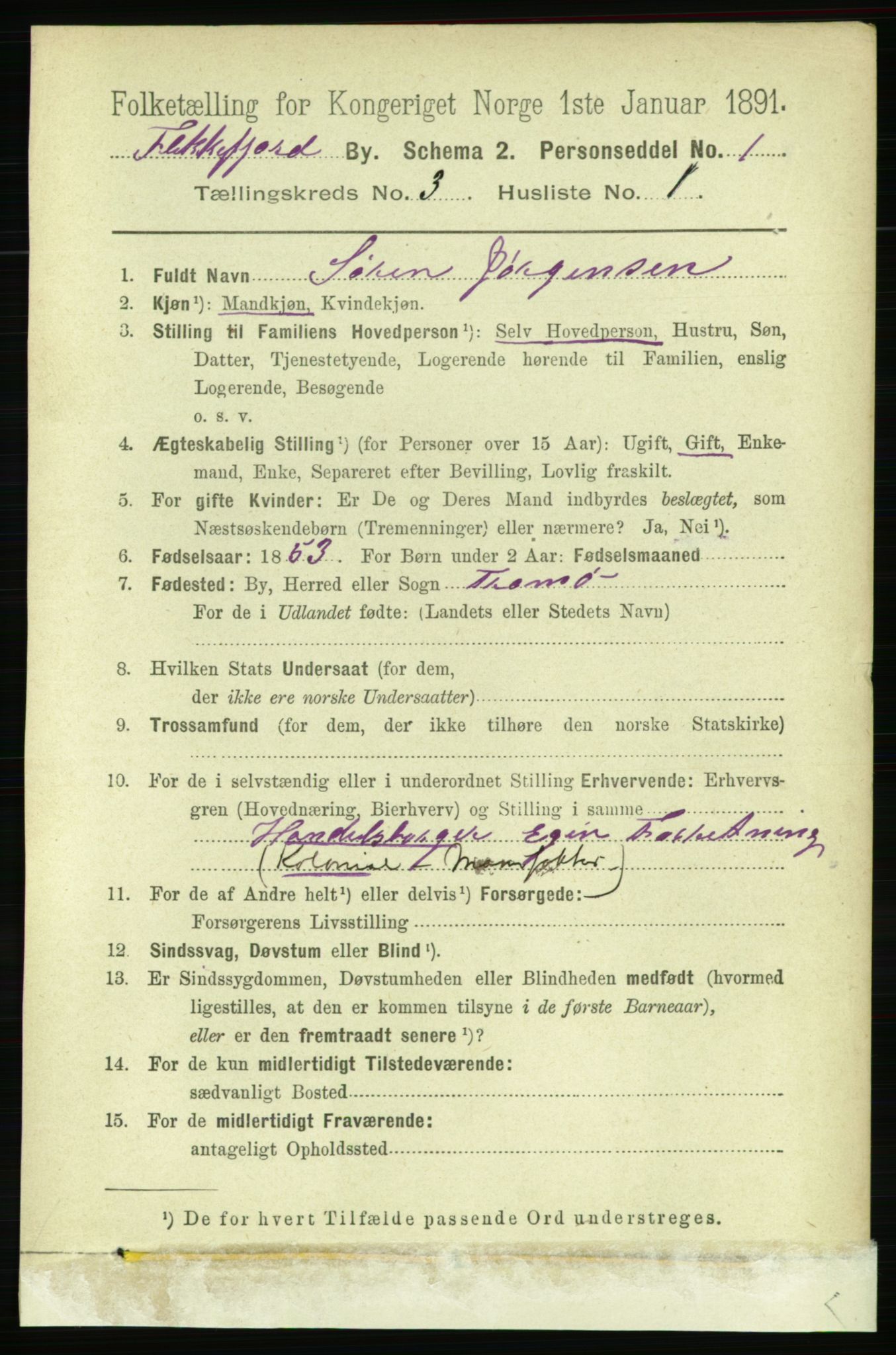 RA, 1891 census for 1004 Flekkefjord, 1891, p. 919