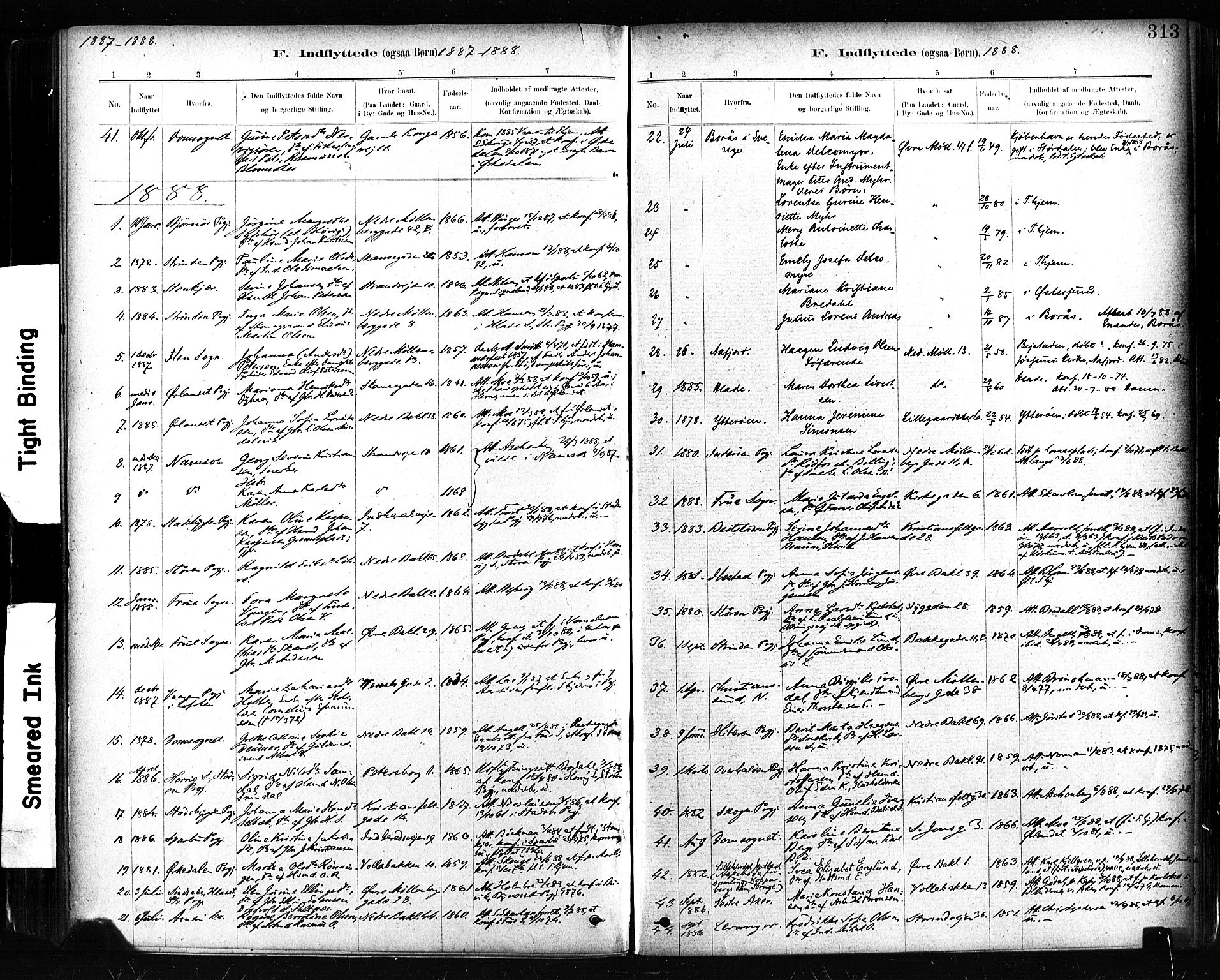 Ministerialprotokoller, klokkerbøker og fødselsregistre - Sør-Trøndelag, AV/SAT-A-1456/604/L0189: Parish register (official) no. 604A10, 1878-1892, p. 313