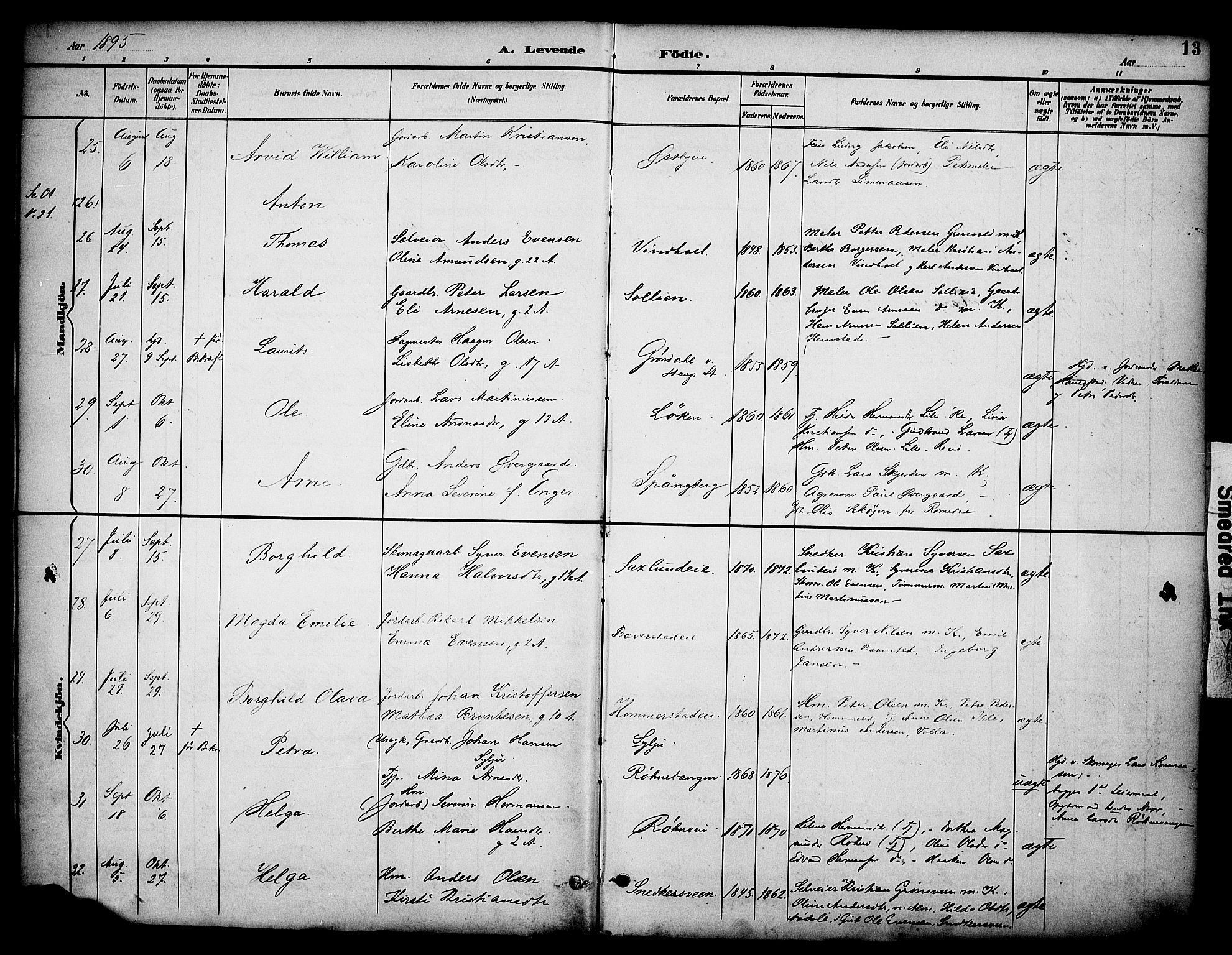 Stange prestekontor, AV/SAH-PREST-002/K/L0020: Parish register (official) no. 20, 1894-1905, p. 13