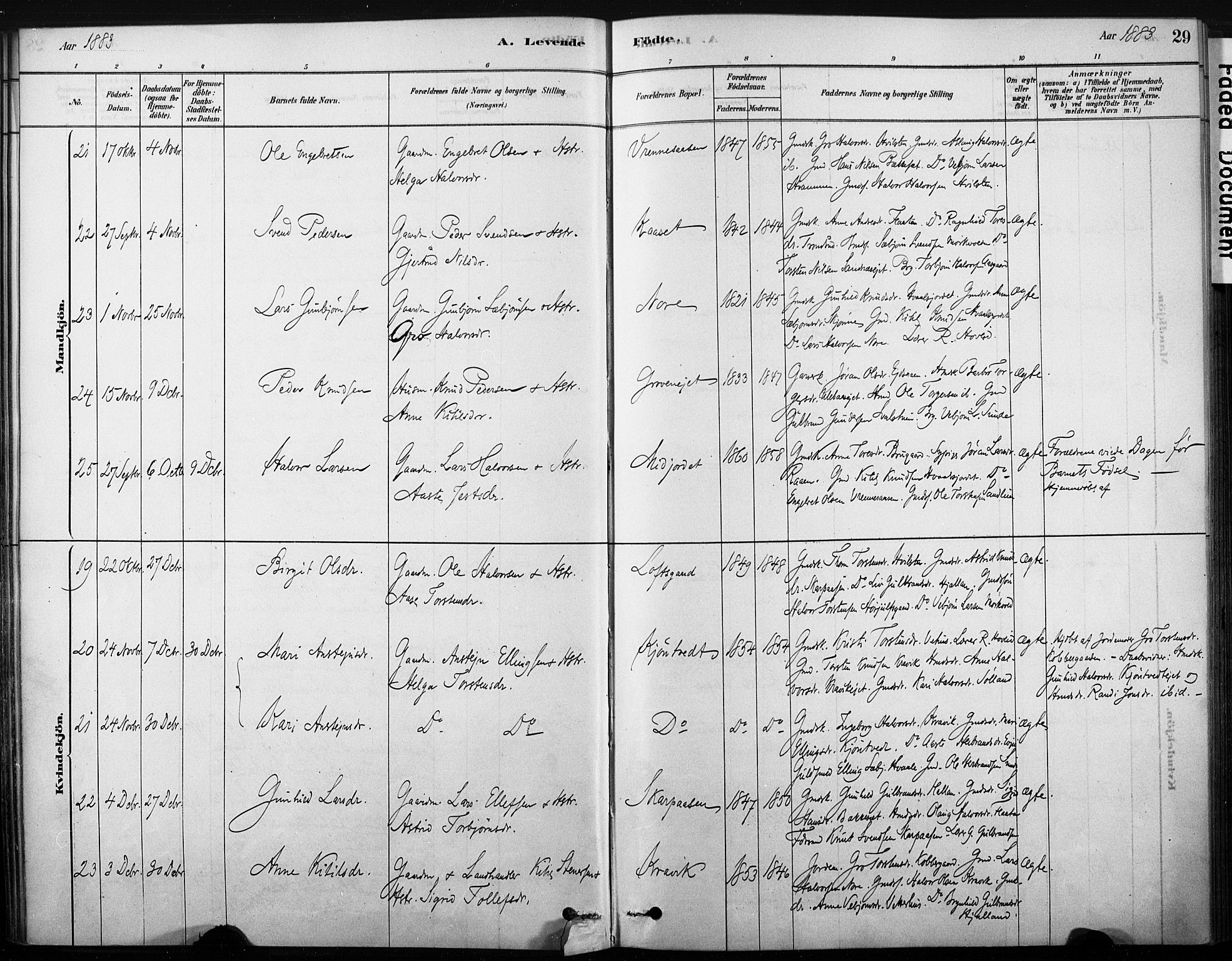 Nore kirkebøker, AV/SAKO-A-238/F/Fb/L0001: Parish register (official) no. II 1, 1878-1886, p. 29