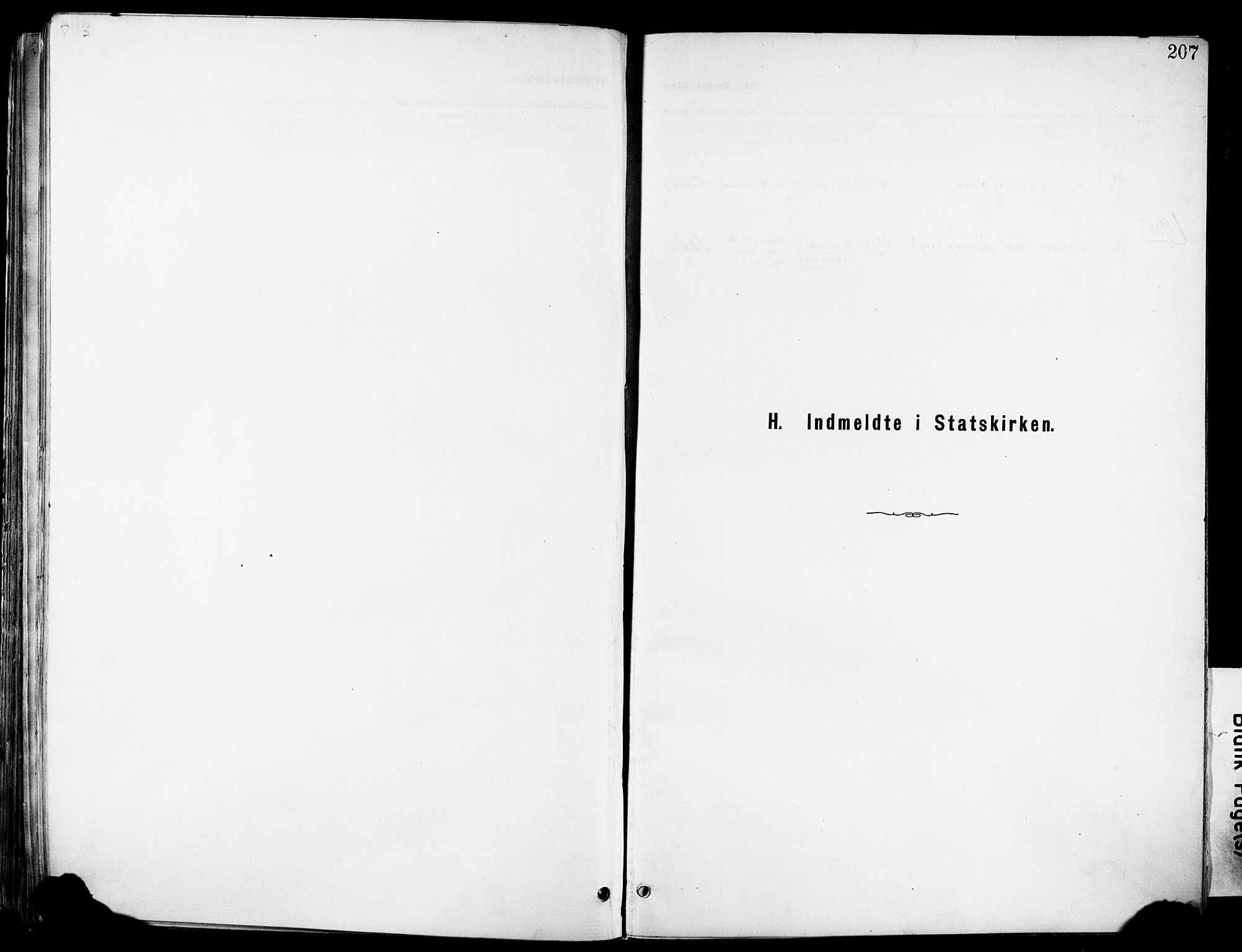 Hetland sokneprestkontor, SAST/A-101826/30/30BA/L0012: Parish register (official) no. A 12, 1882-1912, p. 207