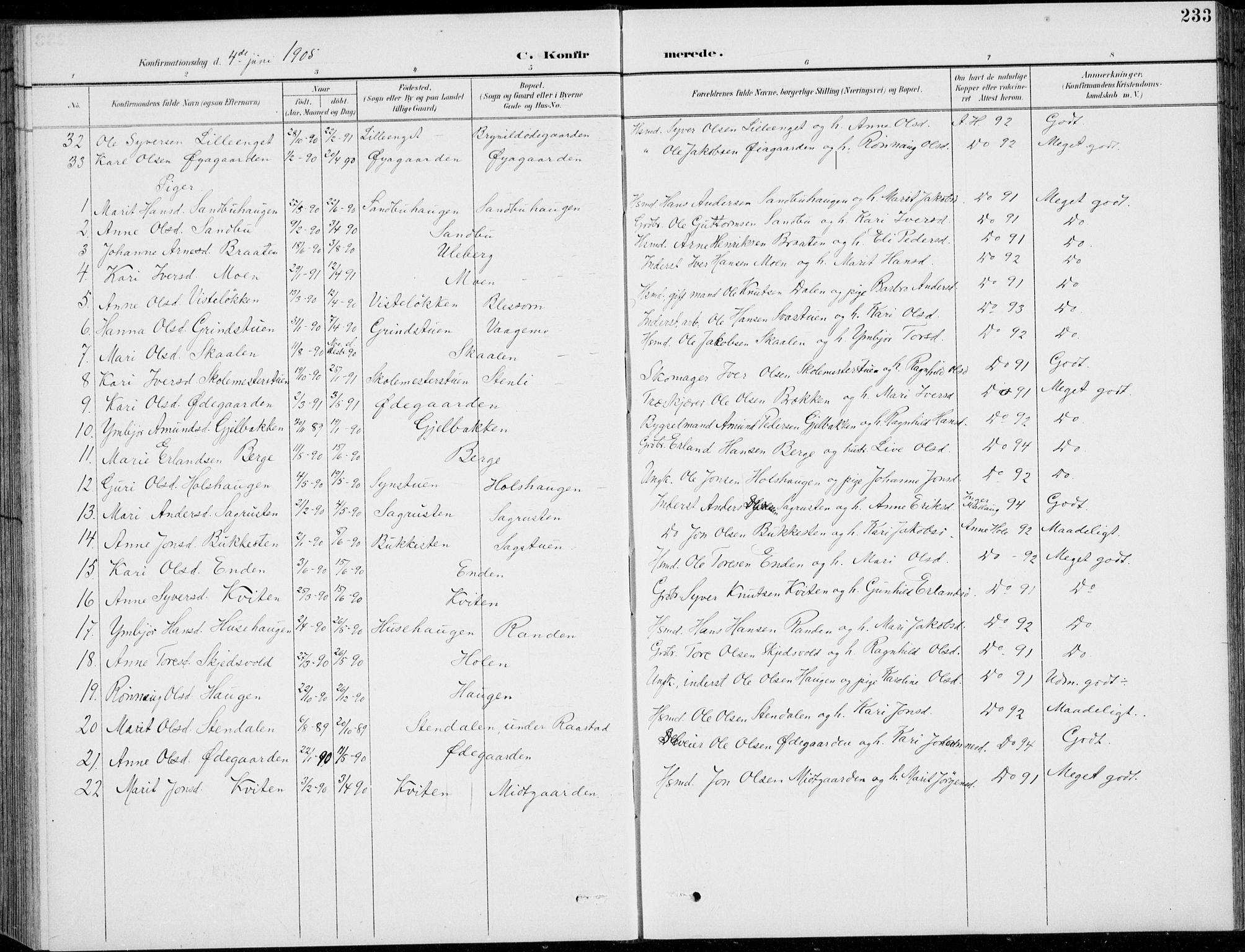 Vågå prestekontor, SAH/PREST-076/H/Ha/Hab/L0002: Parish register (copy) no. 2, 1894-1939, p. 233