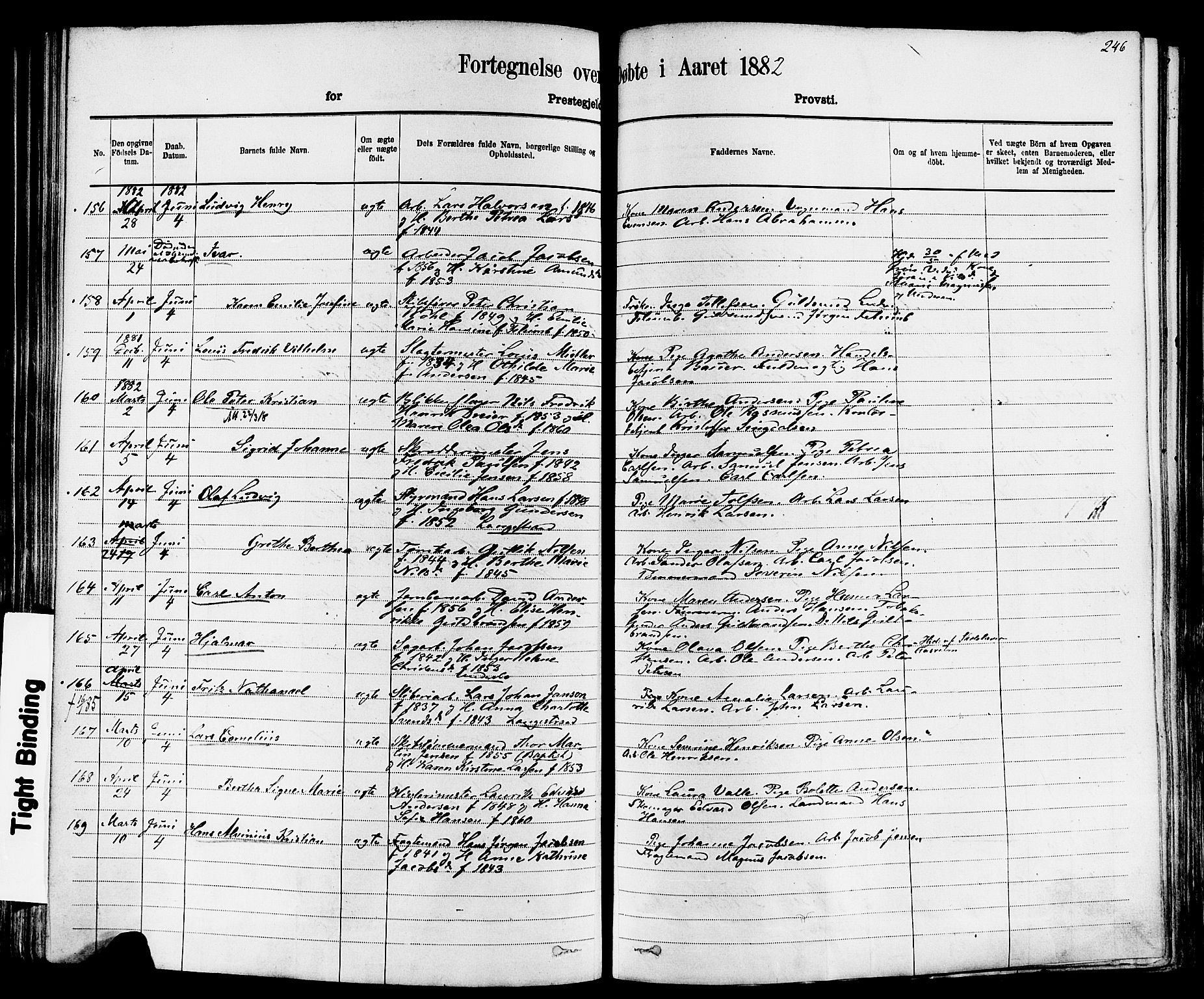 Larvik kirkebøker, AV/SAKO-A-352/F/Fa/L0006: Parish register (official) no. I 6, 1871-1883, p. 246