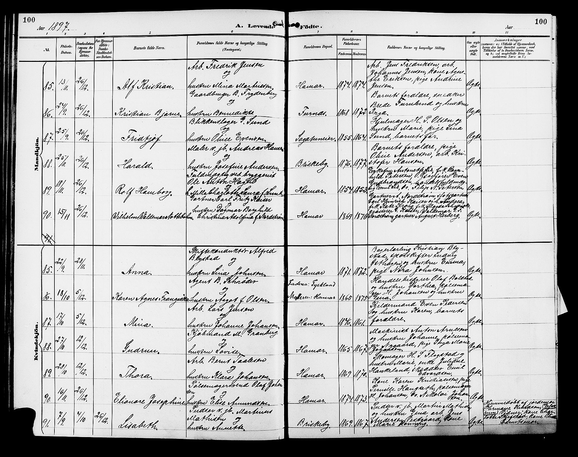 Vang prestekontor, Hedmark, SAH/PREST-008/H/Ha/Hab/L0013: Parish register (copy) no. 13, 1890-1899, p. 100