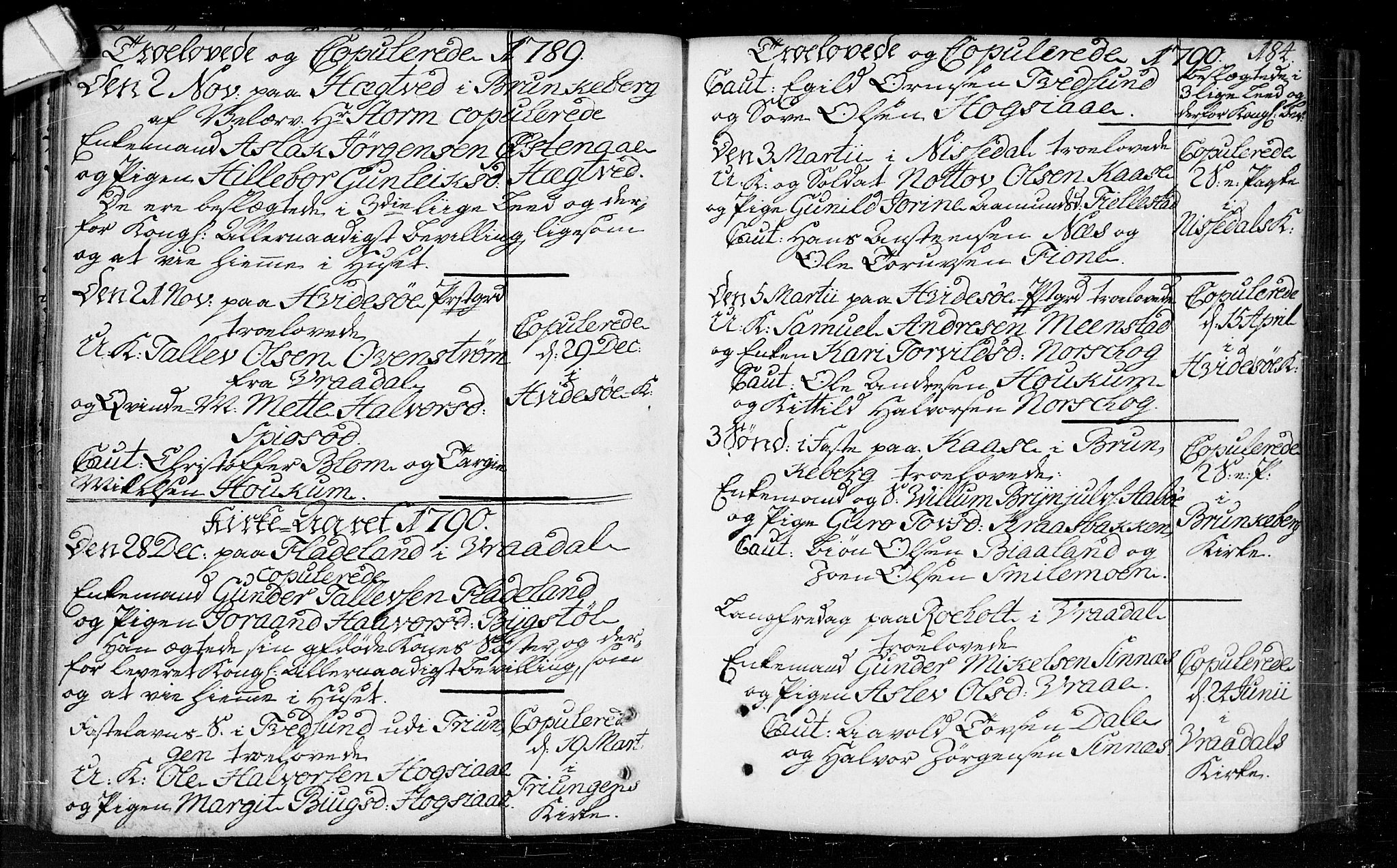 Kviteseid kirkebøker, SAKO/A-276/F/Fa/L0003: Parish register (official) no. I 3, 1787-1799, p. 184