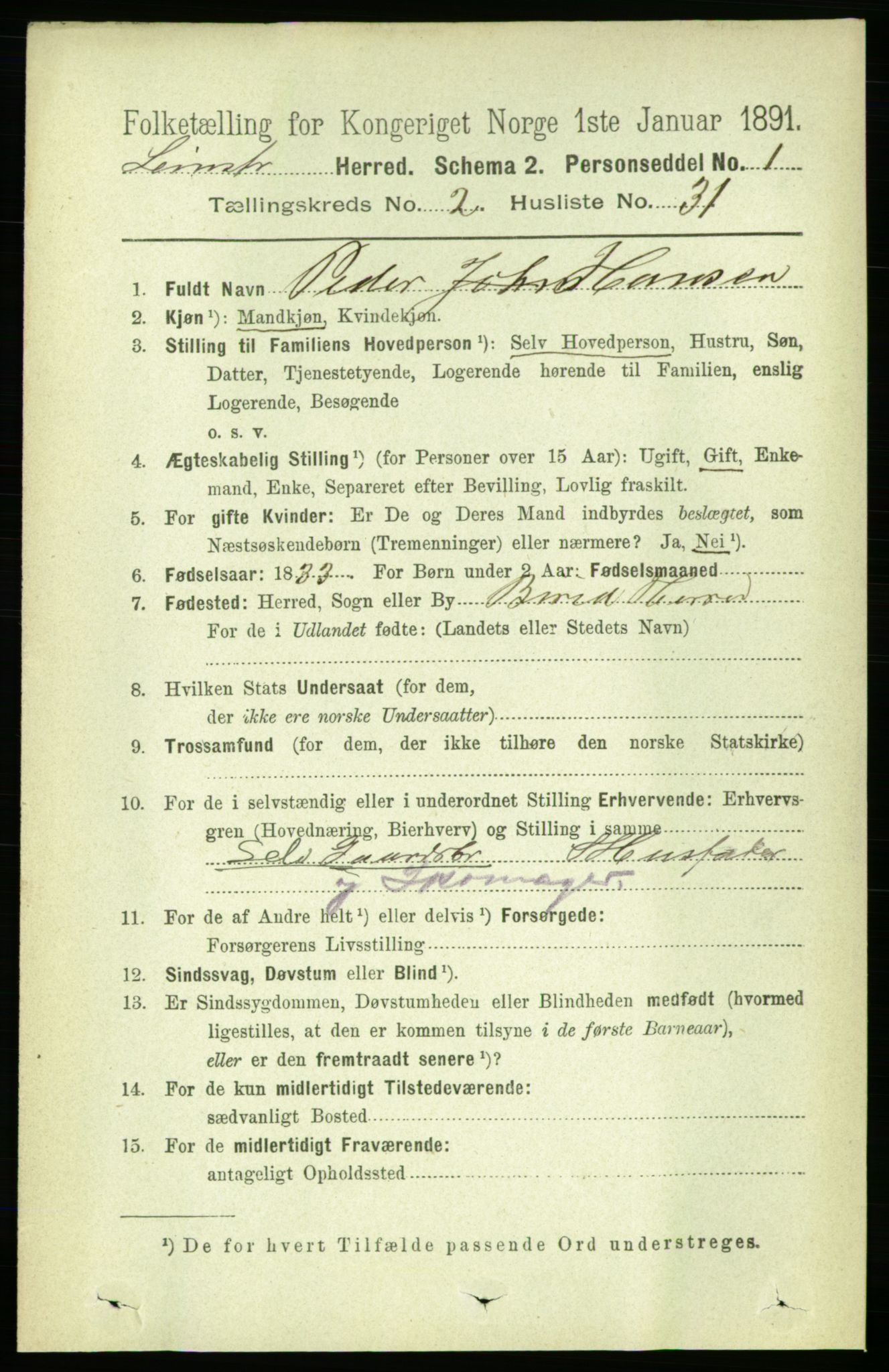 RA, 1891 census for 1654 Leinstrand, 1891, p. 696
