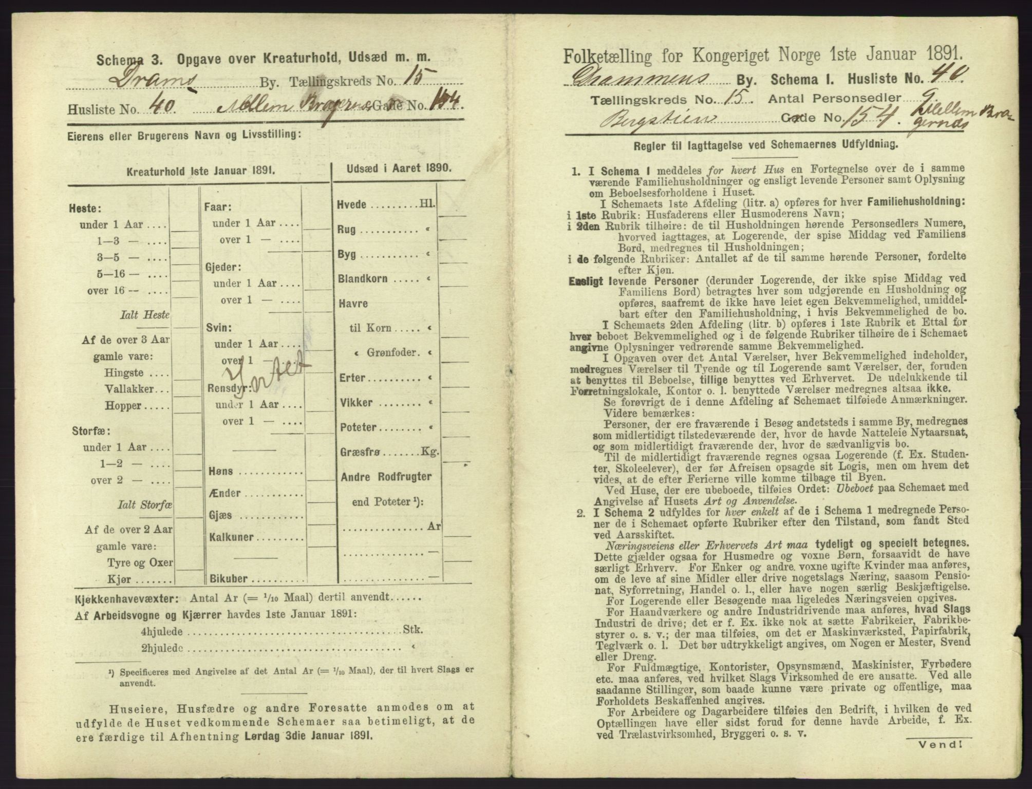 RA, 1891 census for 0602 Drammen, 1891, p. 1313