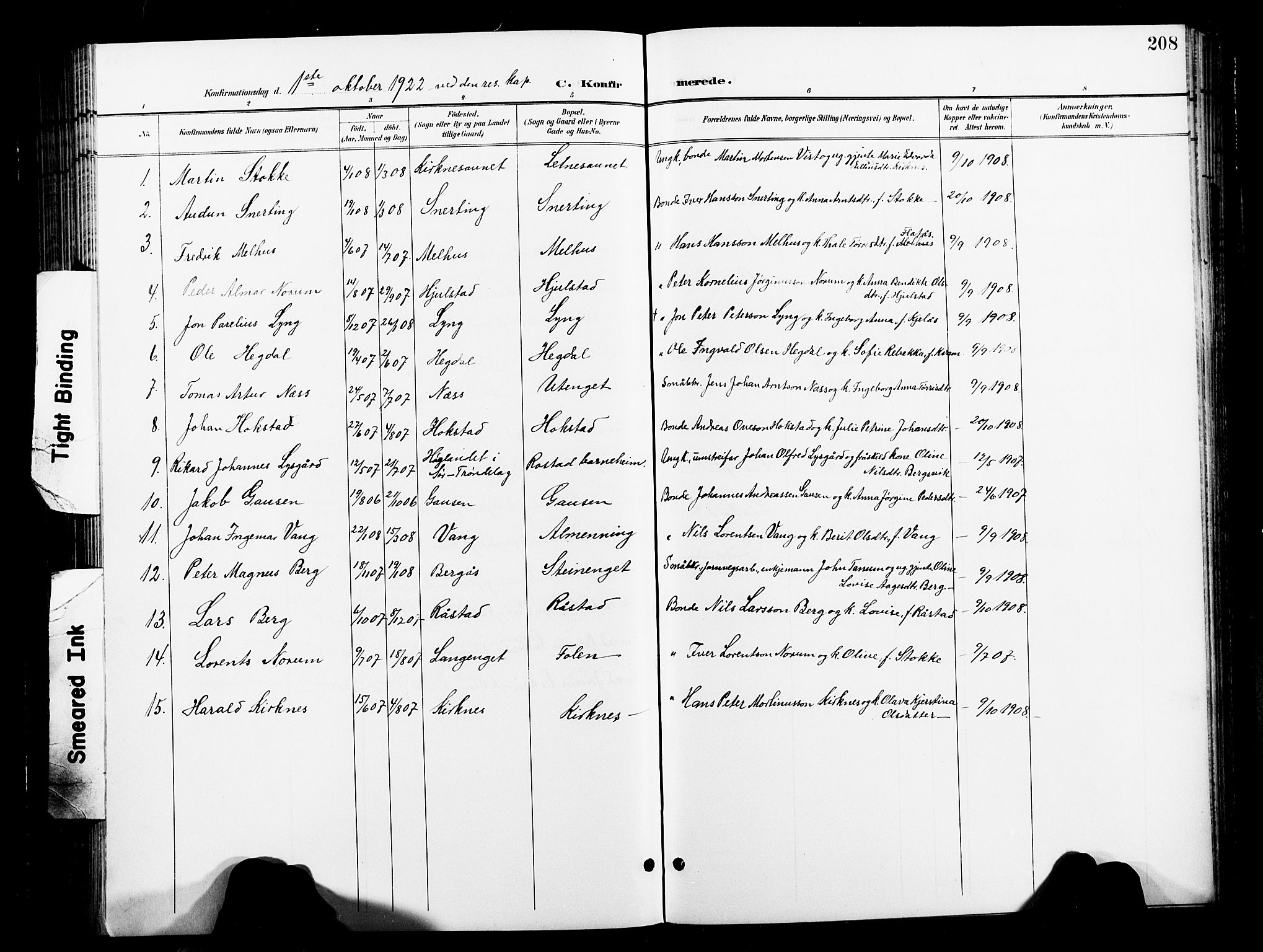 Ministerialprotokoller, klokkerbøker og fødselsregistre - Nord-Trøndelag, SAT/A-1458/730/L0302: Parish register (copy) no. 730C05, 1898-1924, p. 208