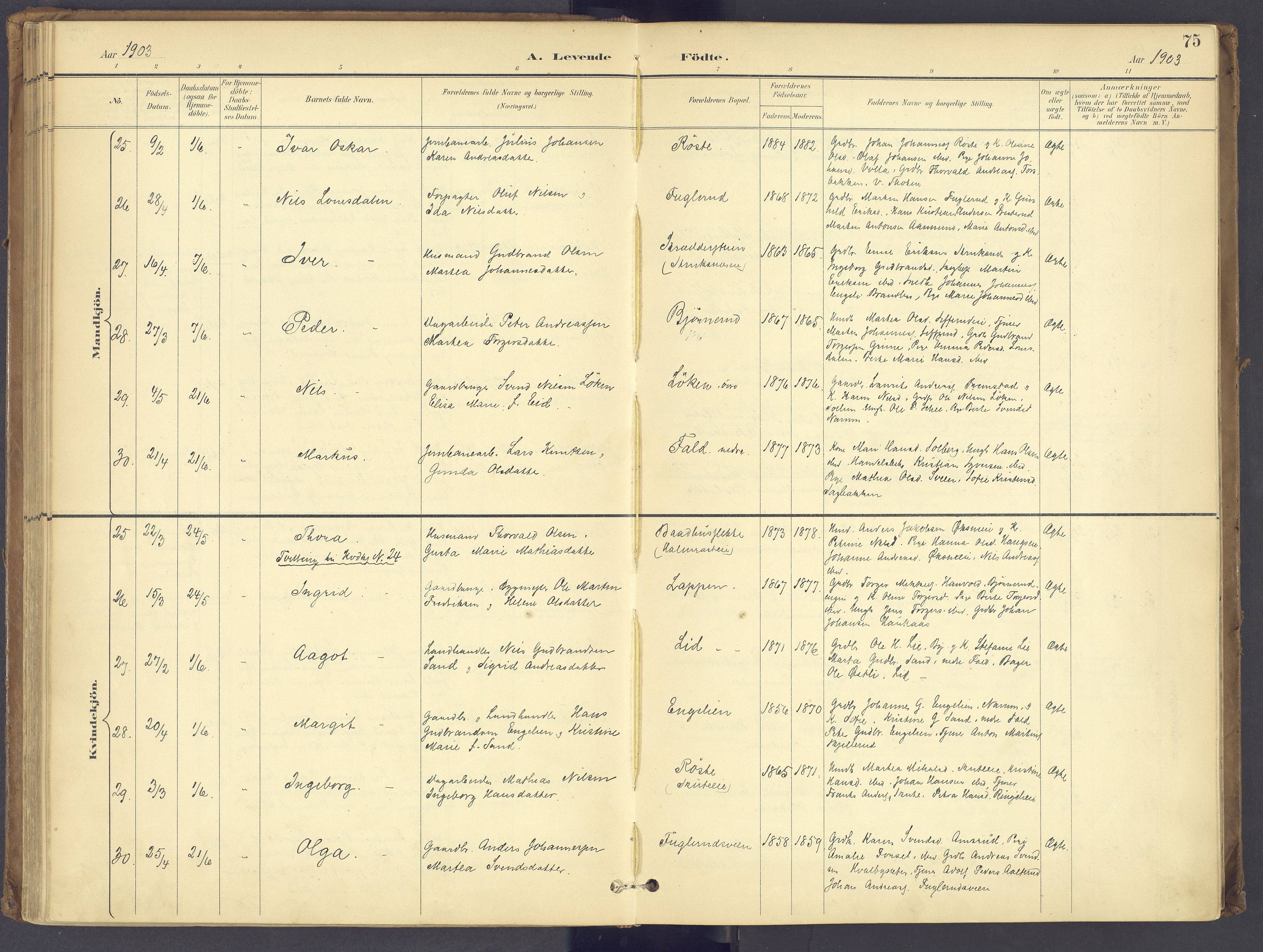 Søndre Land prestekontor, AV/SAH-PREST-122/K/L0006: Parish register (official) no. 6, 1895-1904, p. 75